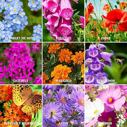 Miniatura 4 de The Old Farmer's Almanac Semillas de flores silvestres premium 23 variedades de polinizadores - Sin OMG, polinizado abierto - Columbine Cosmos