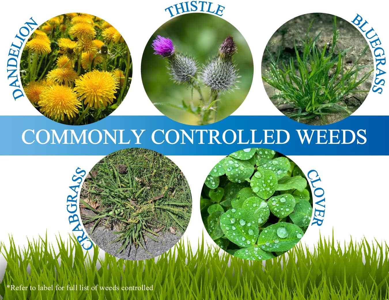 Liquid Harvest Lazer Blue Spray Pattern Indicator 8 oz, Surfactant 16 oz, and Mesotrione 16 oz Bundle for Effective Weed Control