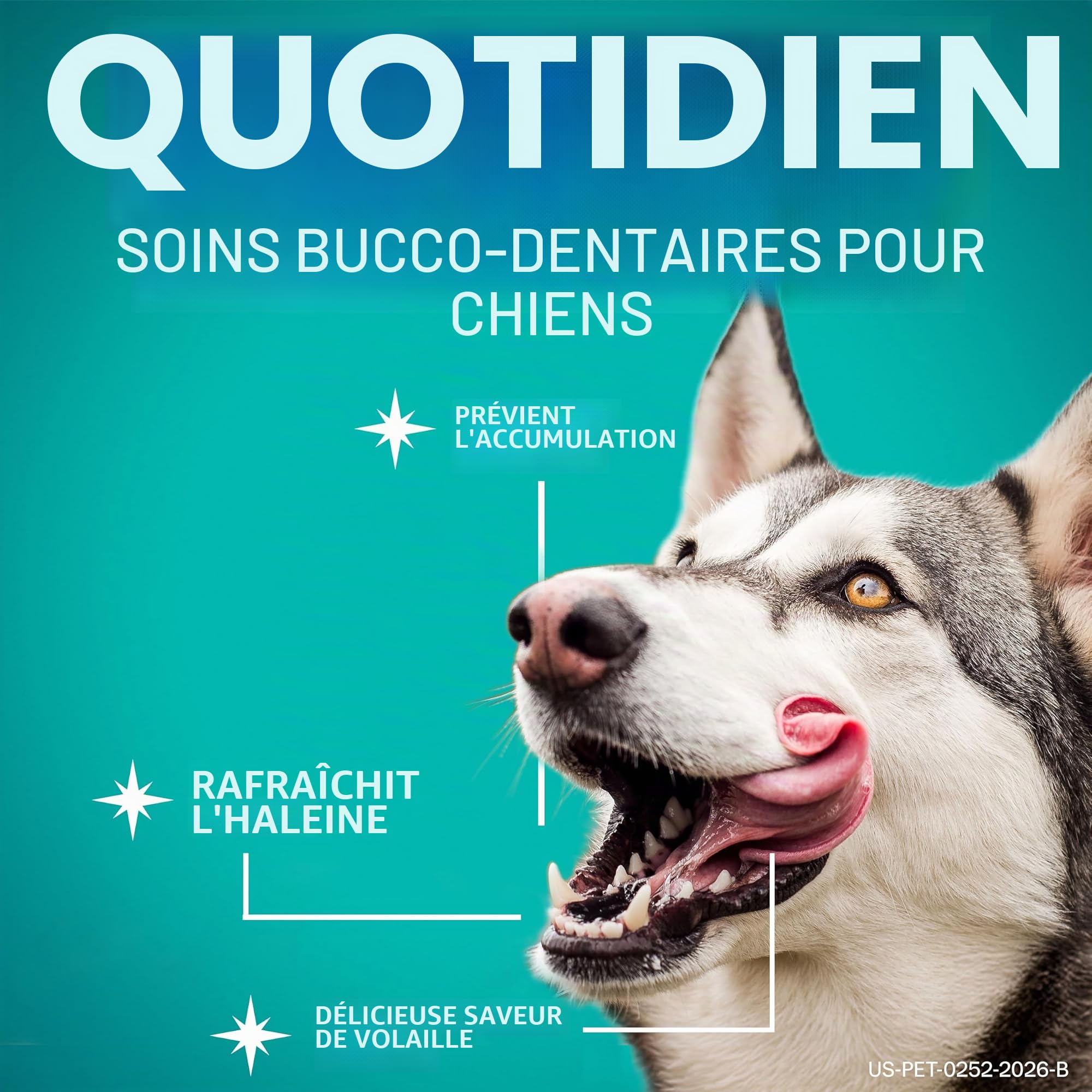 Oravet YYOJ - Hygiène Dentaire à mâcher pour Chiens de Taille Moyenne