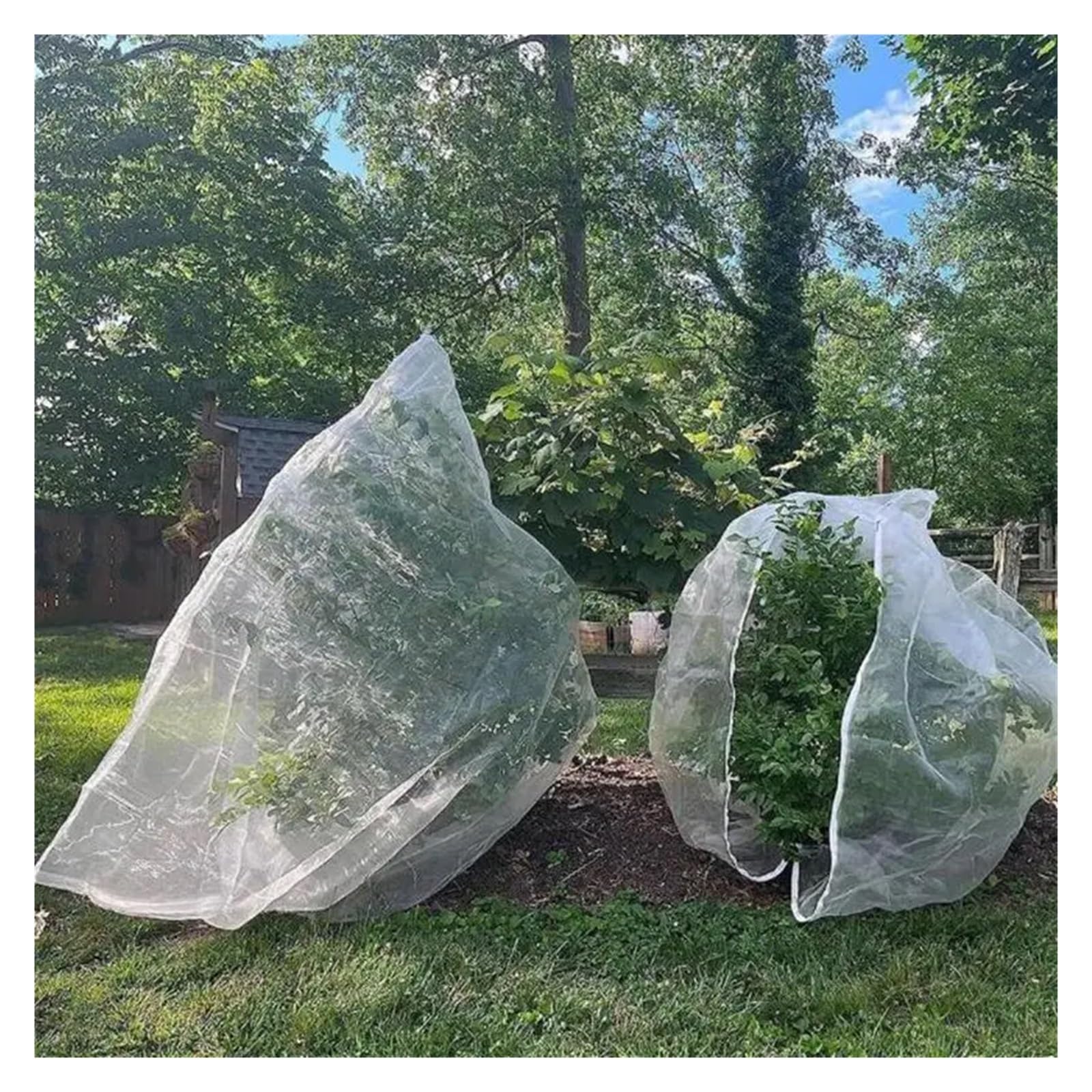 Red de nailon rojo para proteger arbustos y árboles frutales, malla 60 (4 m x 10 m) – Red antipájaros duradera con protección UV para uso en jardín y huerto