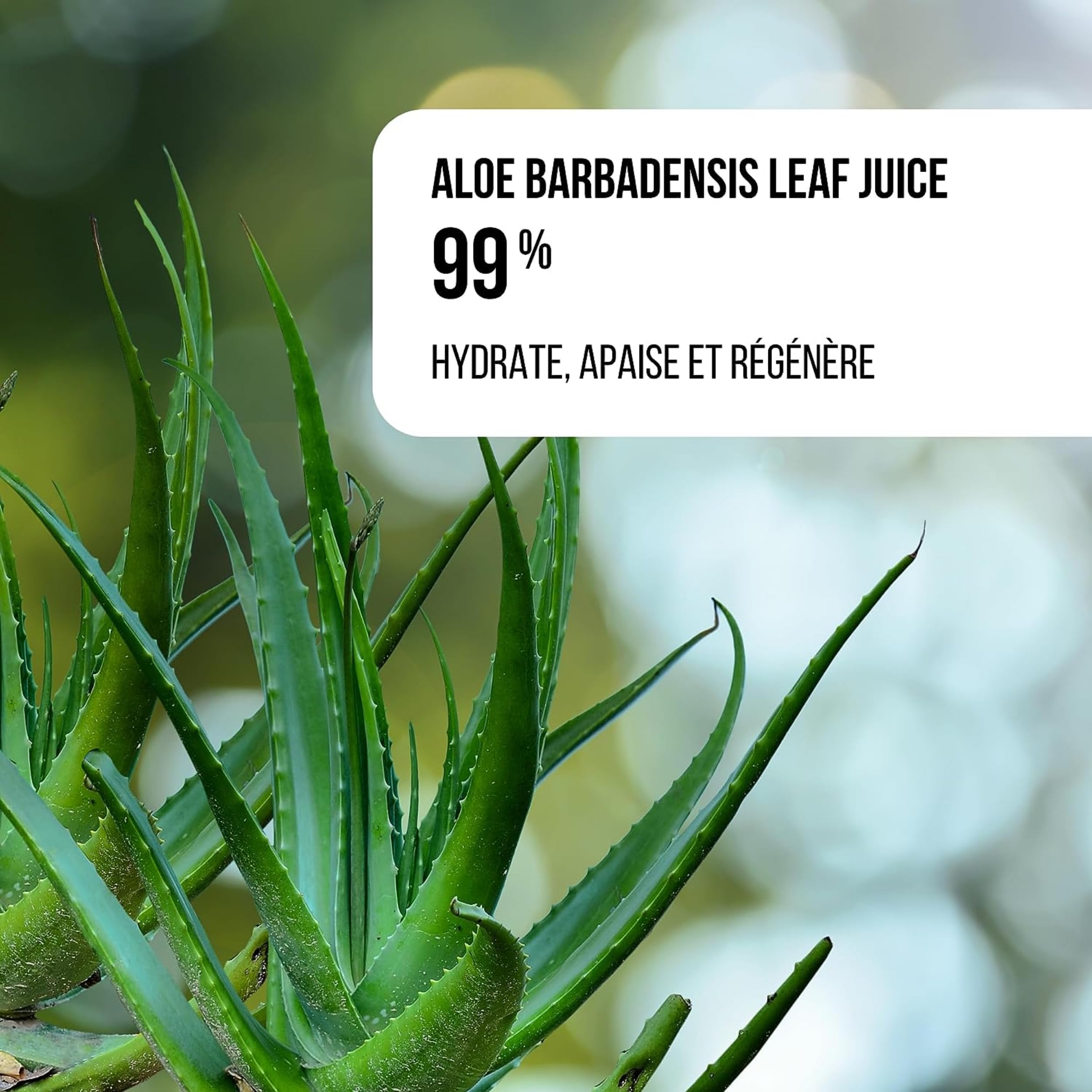 Aloe Vera Gel Natif 99% Veyra 200 ml - Moisturises Soothes and Regenerates  - Natural Care : Amazon.de: Beauty