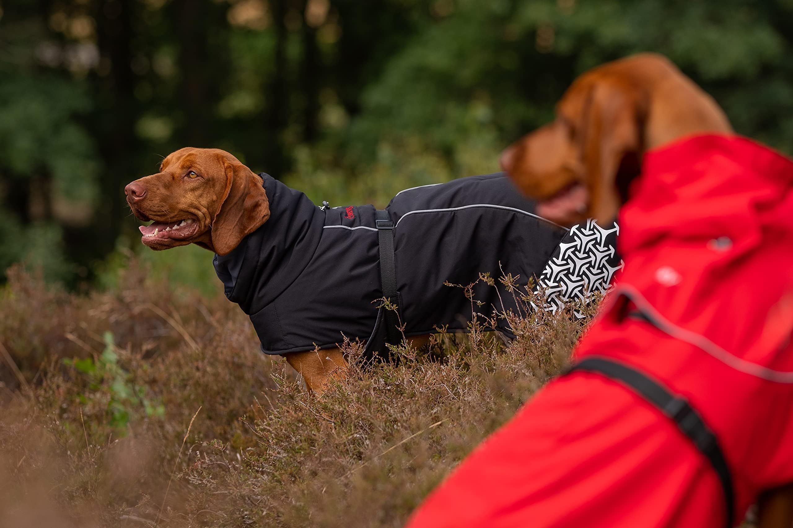 iEnergy MIC Imbracatura per cani con due borse e ideale per viaggi brevi, Imbracatura pettorale traspirante, riflettente e imbottita Imbracatura anti-trazione No Pull (XL)