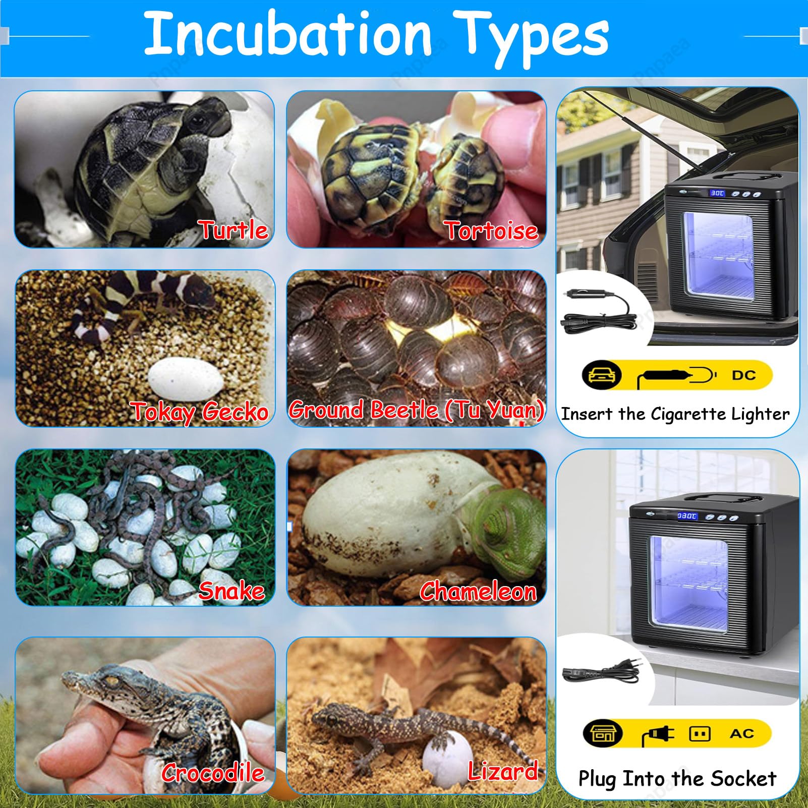 400W incubadora Digital de Huevos,Incubadora 5°-60°C, 25L Automático Incubadora Incubadora con Temperatura Constante para Reptiles o Anfibios White