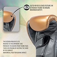 Vista 5 de CLETO REYES Hero - Guantes de boxeo con doble correa de velcro para entrenamiento, combate y sacos de boxeo pesados