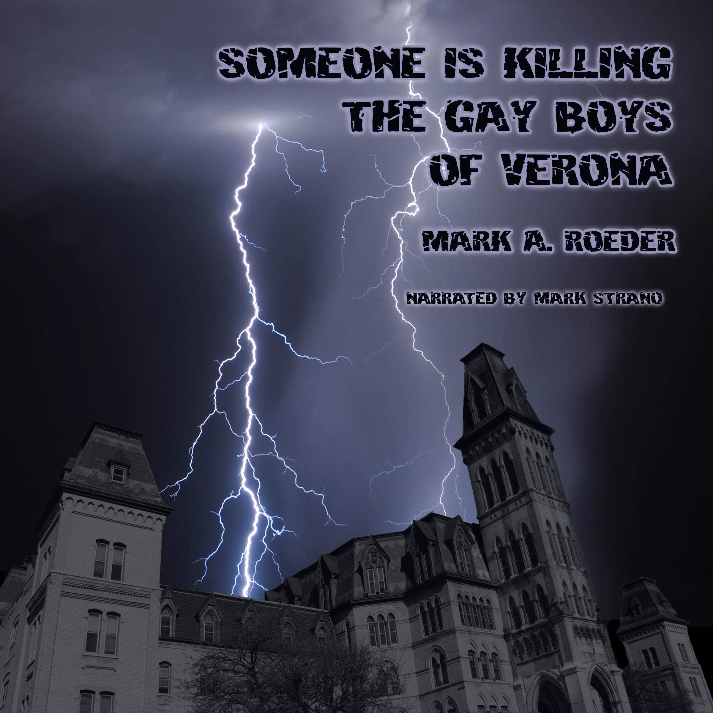 Cover art for Someone Is Killing the Gay Boys of Verona