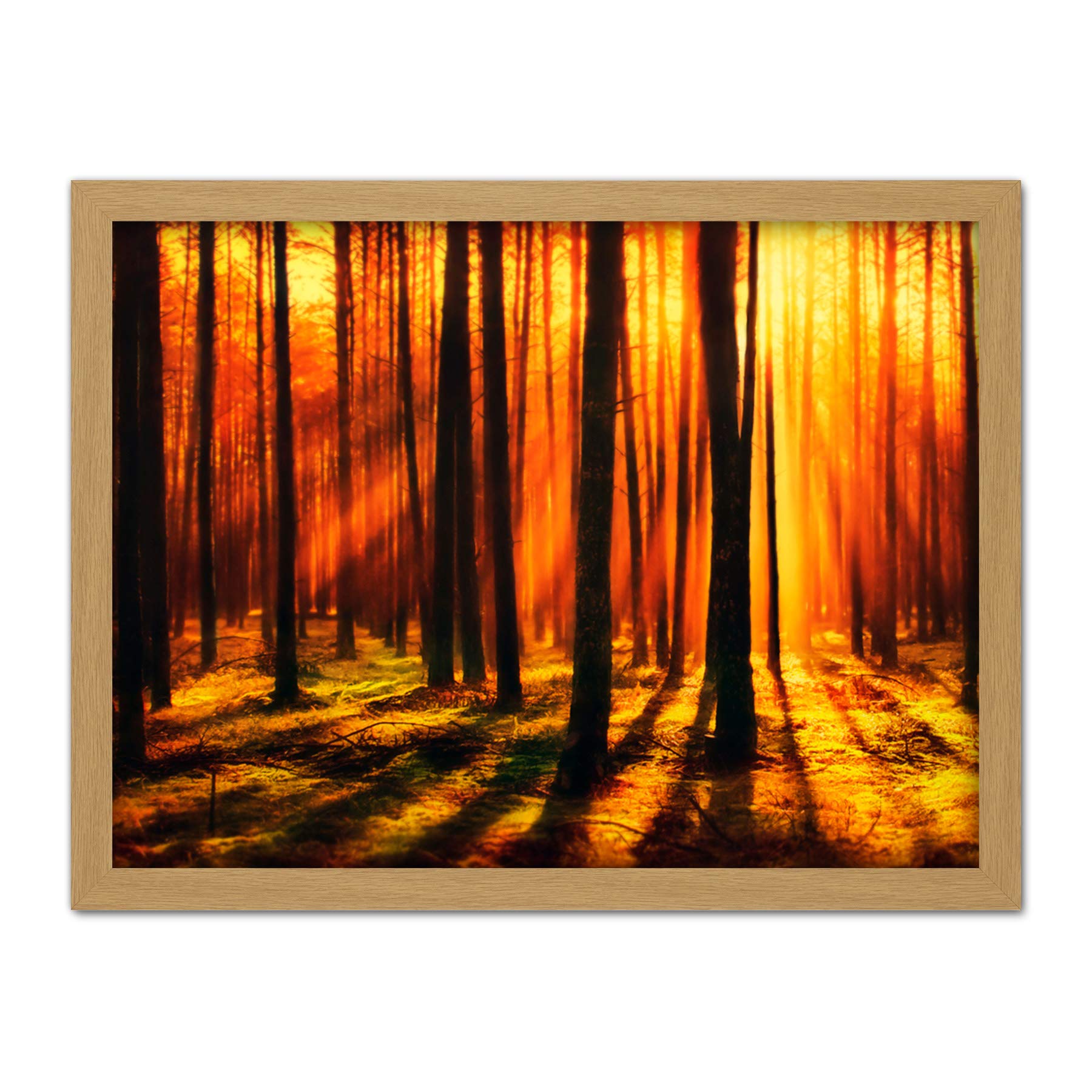 Artery8 Forest Sunset Nature Photograph Artwork Framed Wall Art Print 18X24 Inch