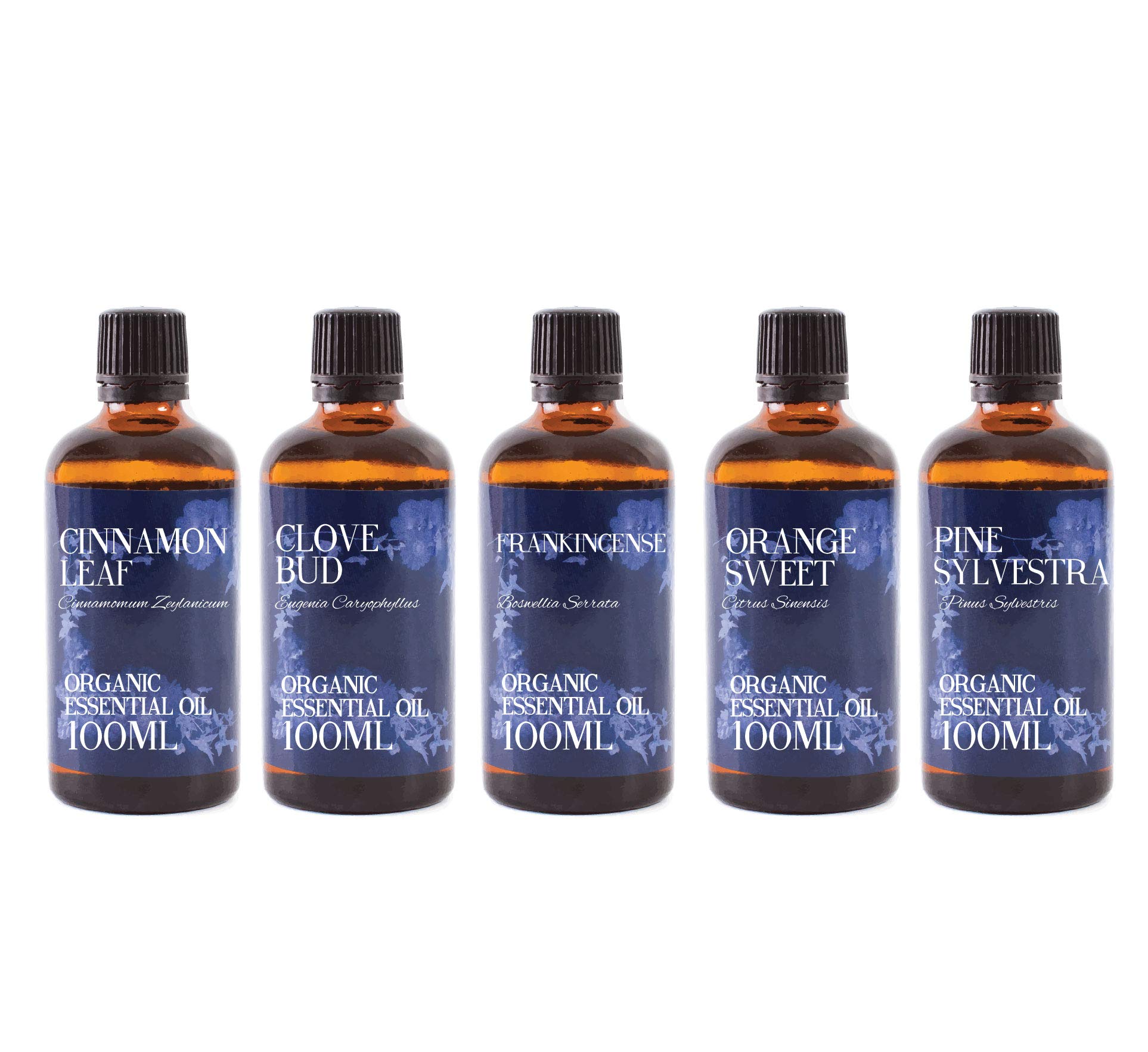 Mystic Moments | Zestaw startowy olejków eterycznych - organiczne olejki świąteczne - 5 x 100 ml - 100% czyste