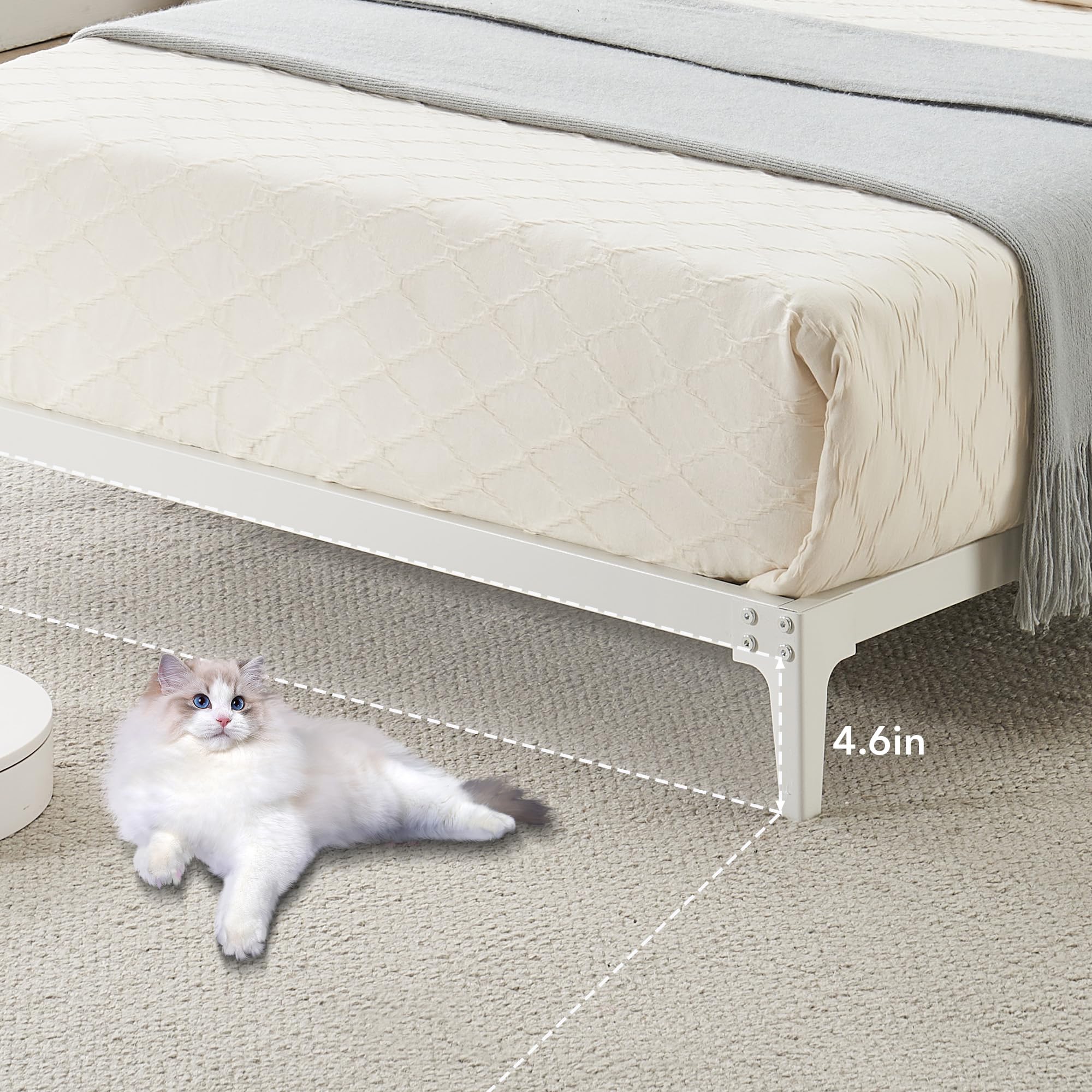 IDEALHOUSE Metal Low Bed Frame, 6 Inch Queen Size Platform Bed Frames