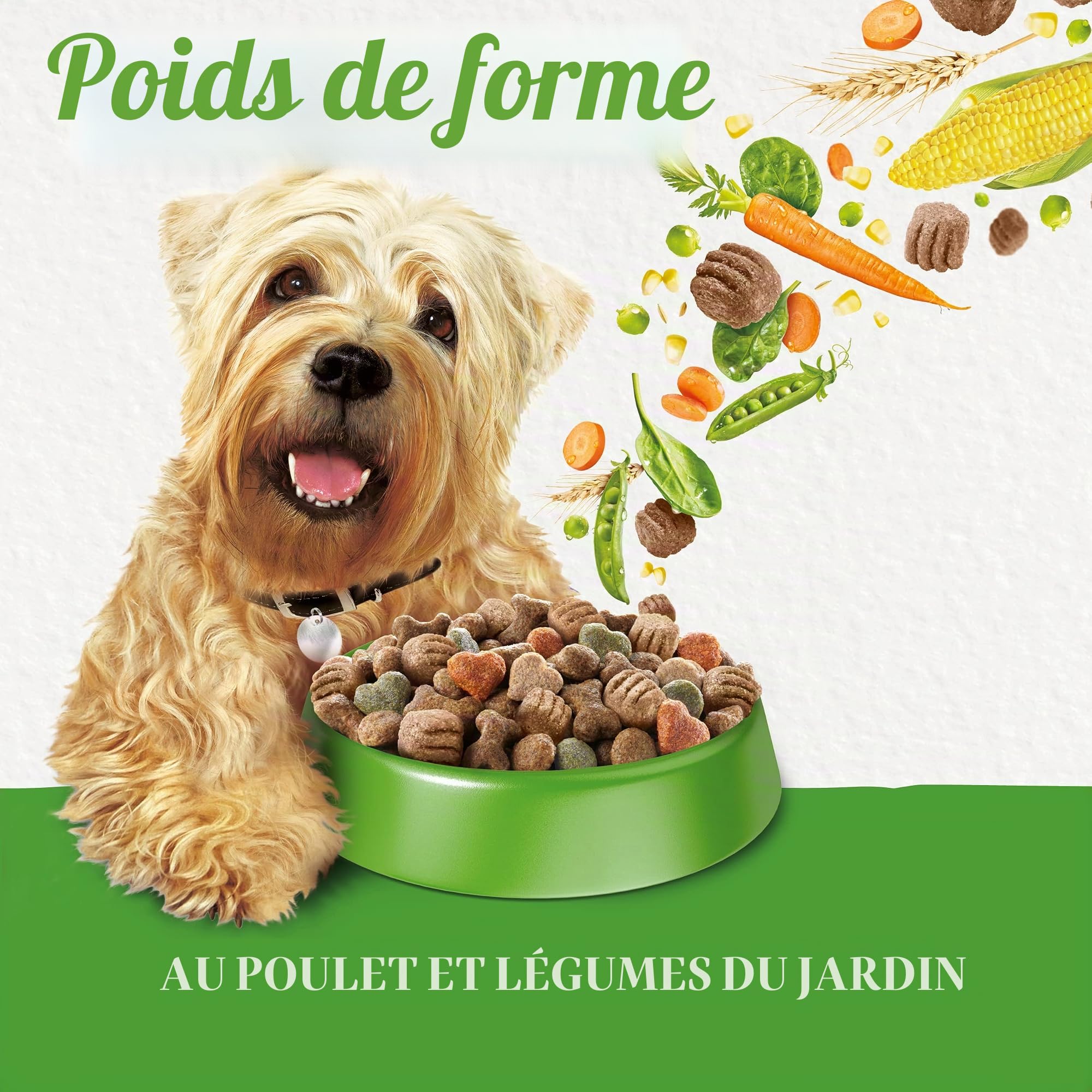 Beneful Nourriture sèche pour Chien - avec Poulet et légumes du Jardin - 1 Paquet (1 x 12 kg)
