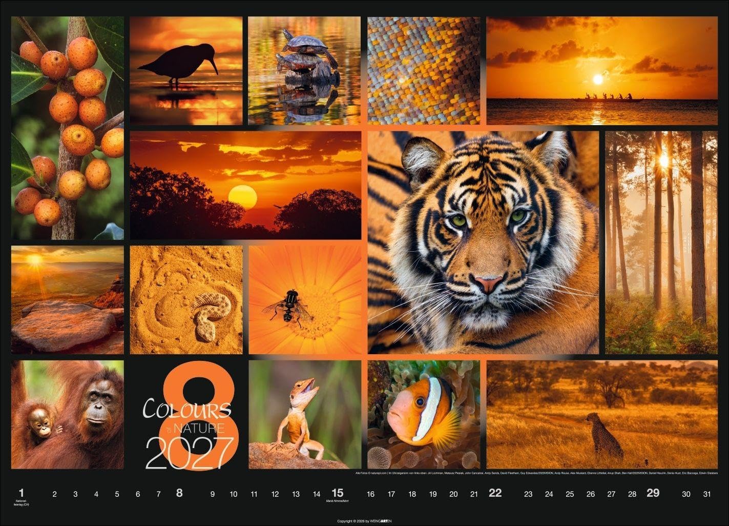 Colours of Nature Kalender 2027: Großer Foto-Wandkalender im Querformat 68 x 49 cm. Natur-Kalender 2027 mit harmonischen Bild- und Farbkompositionen für jeden Monat.