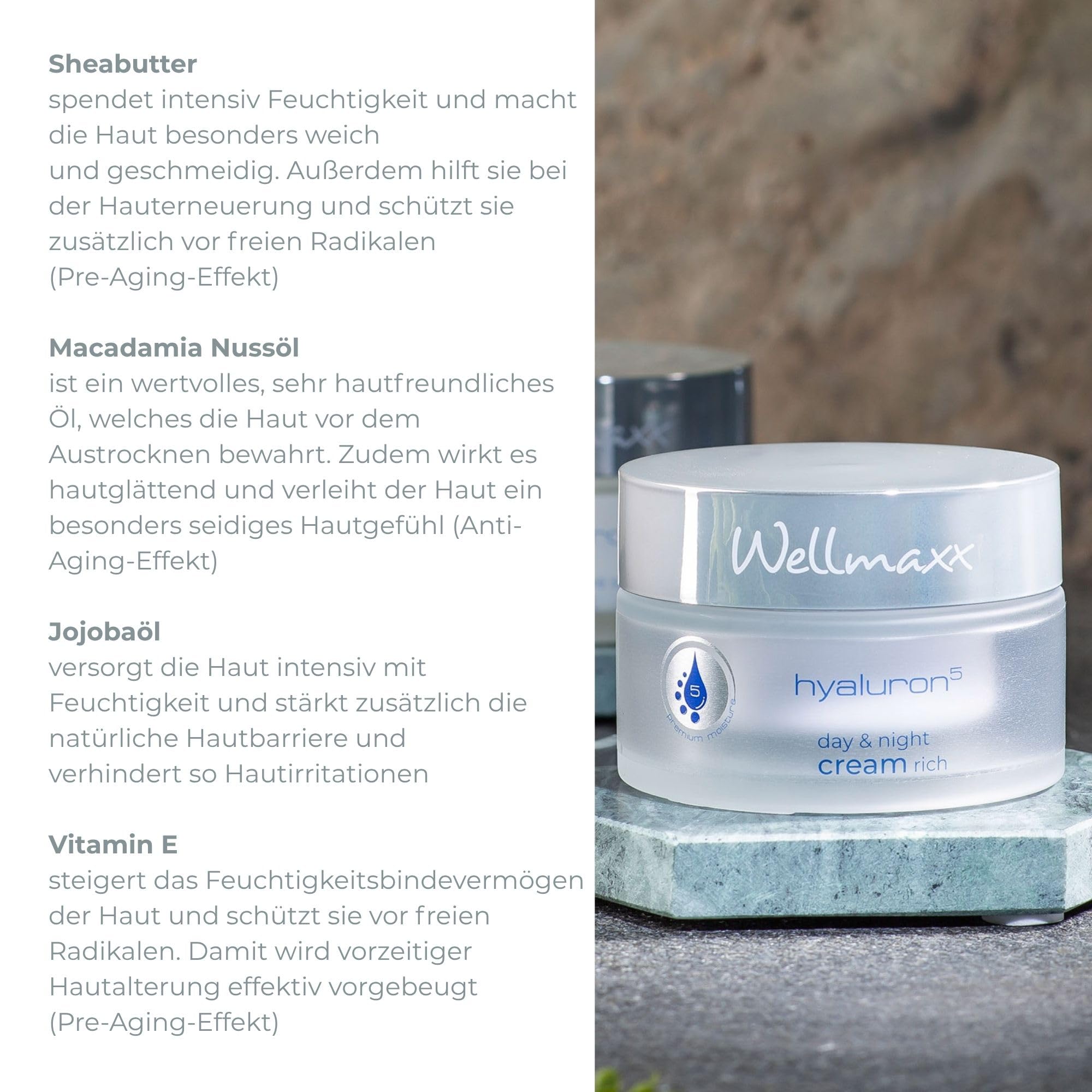 WELLMAXX® hyaluron⁵ day & night cream rich l Hyaluron Gesichtscreme l intensive Feuchtigkeitspflege für trockene & reife Haut l Anti Aging Pflege mit 5-fach Hyaluron l Made in Germany l 50 ml