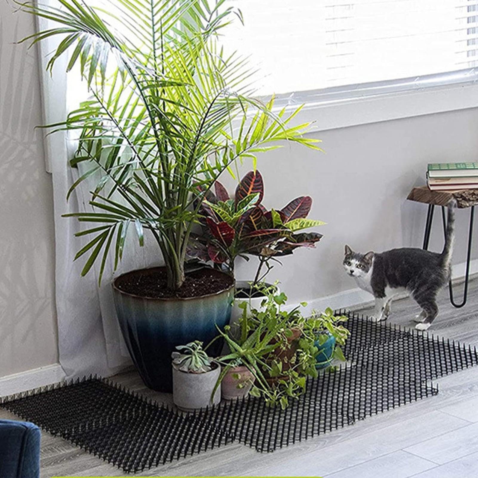 12 Stück Katzenkotmatte Mit Spikes – Katzenabweisende Matte Für Den Innenbereich – 12 Stück Tierabwehrmatte Für Die Landschaftsgestaltung – Kätzchen-Anti-Sprung-Pad Zum Trimmen Von Garten-Matten