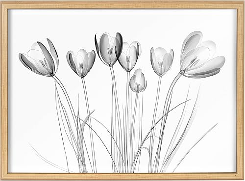 Miniatura 2 de Kate and Laurel Blake Crocus X Ray Floral BW - Arte de pared de vidrio impreso por The Creative Bunch Studio, 18 x 24 pulgadas, natural, impresión