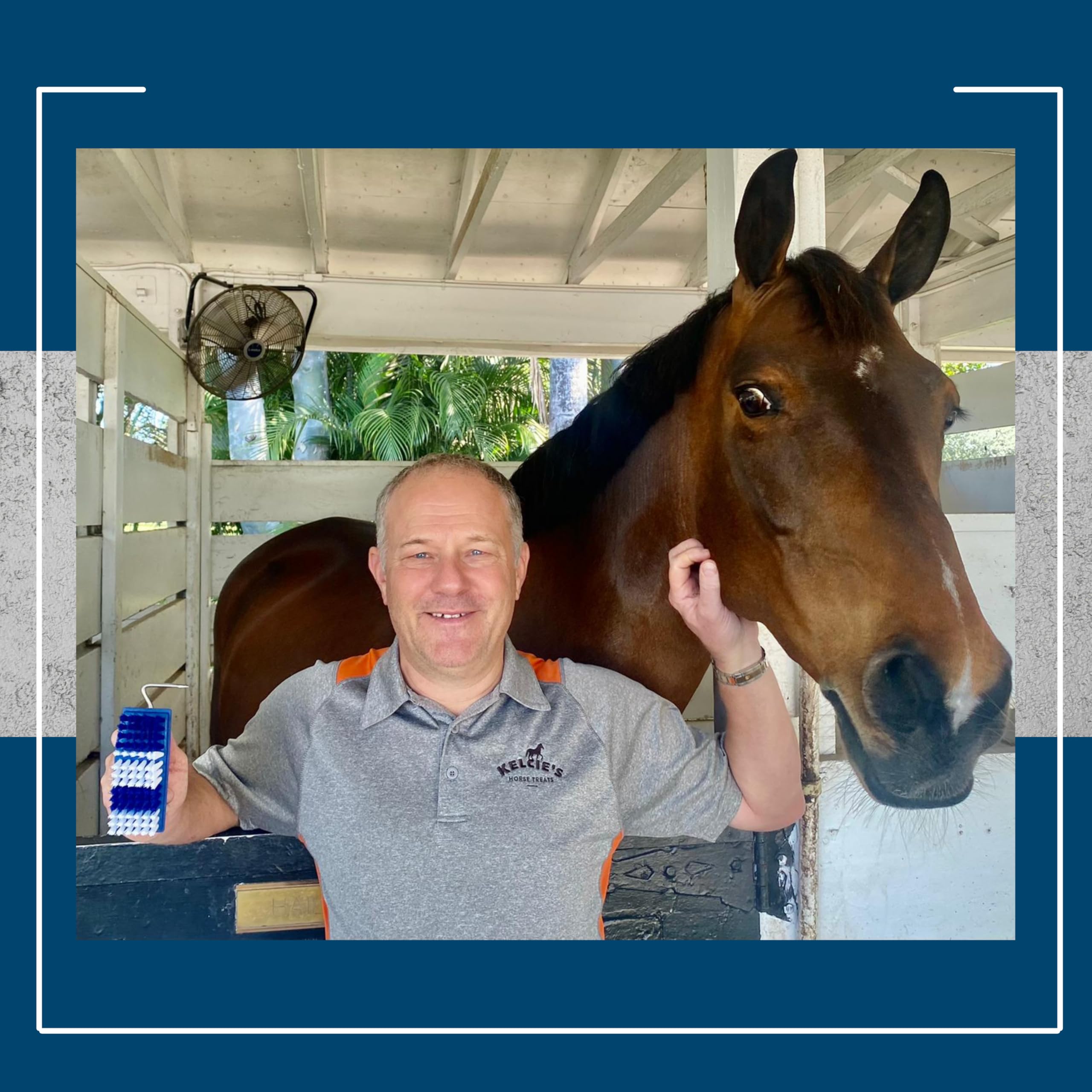 Kelcie's Pick Brush Cleaning Tool - Easy To Use Slip-Proof Grooming Brush For Horses With Great Grip - image 6