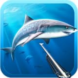 Hunter underwater spearfishing
