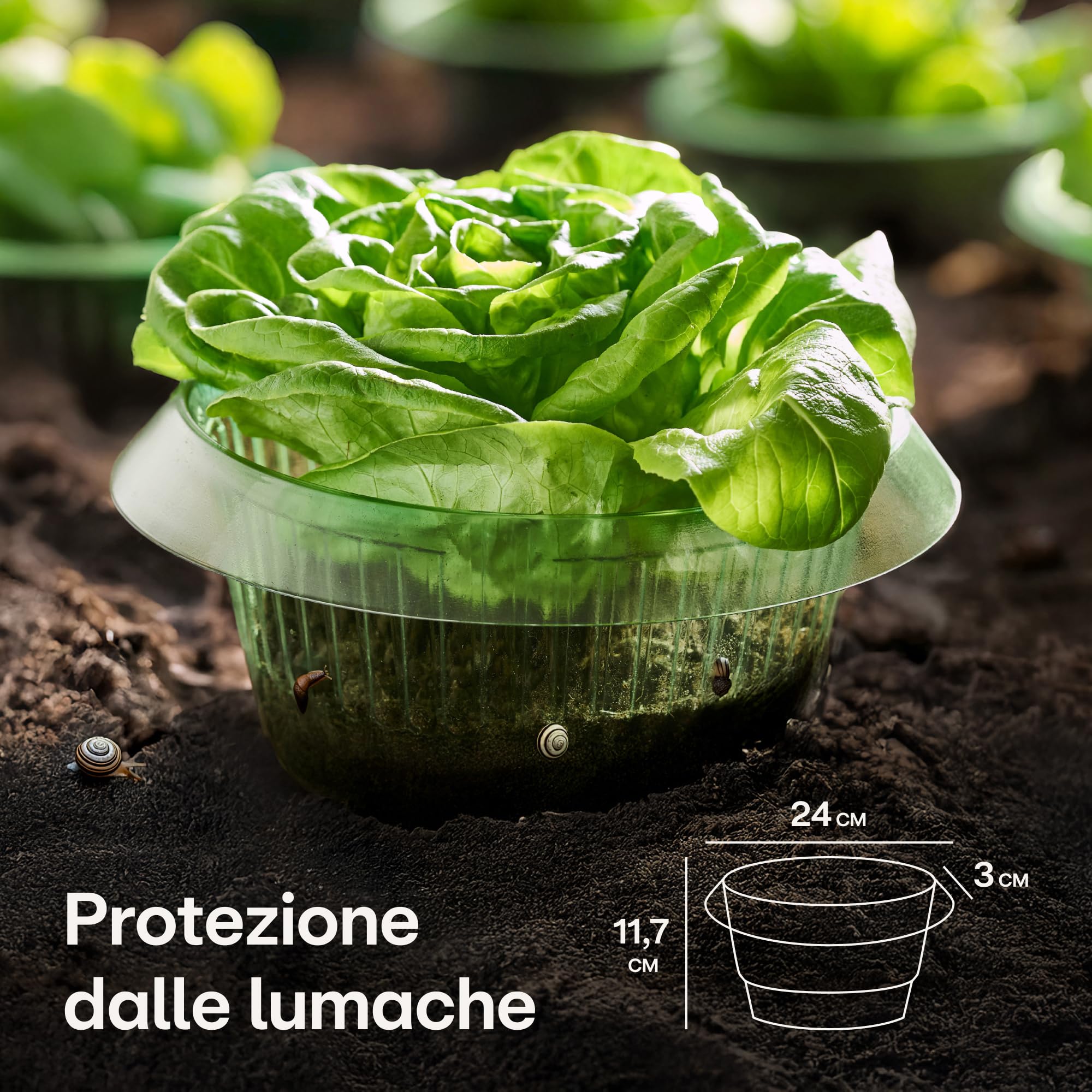 Praknu Anti Lumache Anelli - 10 Pezzi Protezione Contra Lumache Riutilizzabili - Durevole - Resistente alle Intemperie - per Lattughe, Ortaggi E Fiori - Efficace Lumaca Bariere