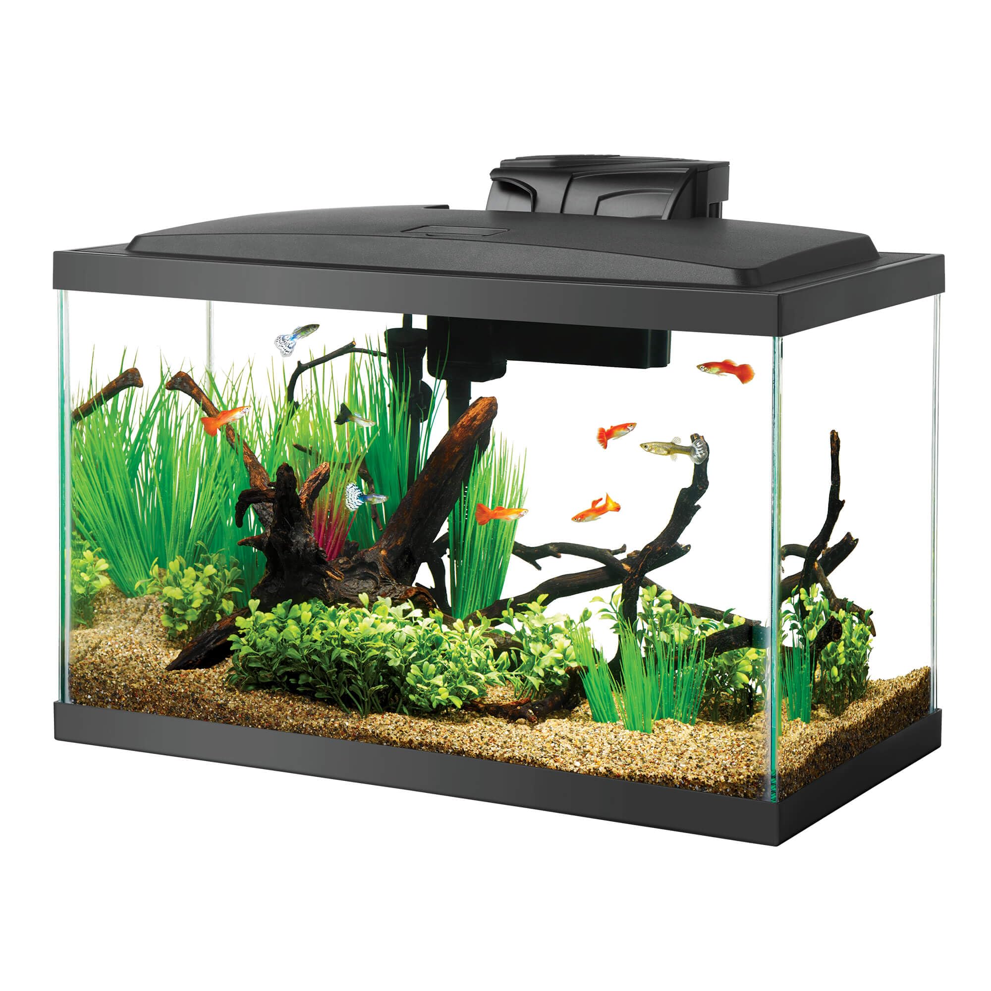 Aqueon 10 Gallon Starter Kit