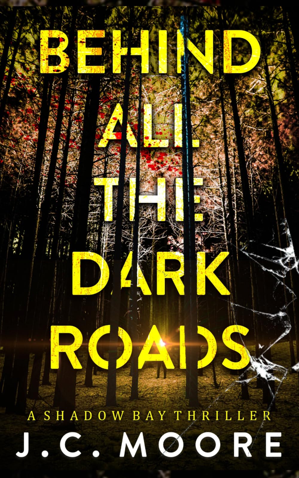 Behind All The Dark Roads: A Psychological Suspense Thriller (Shadow Bay Thriller)