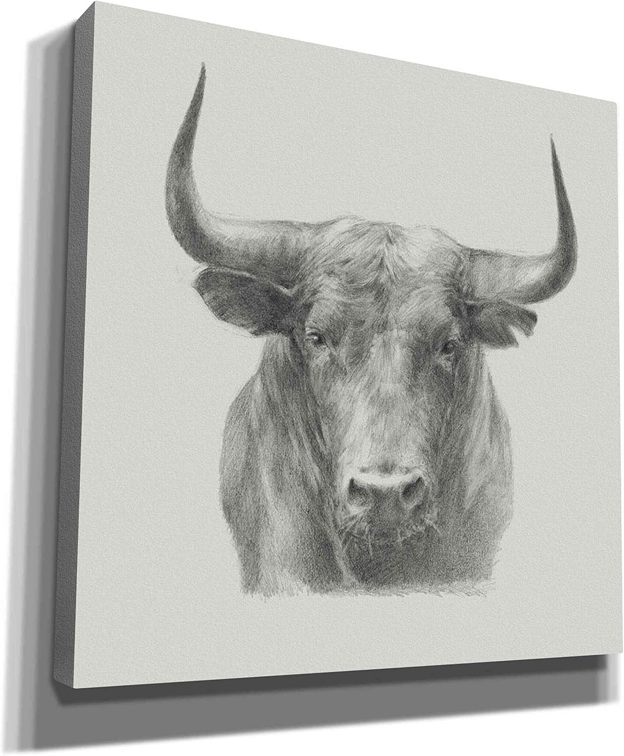 Epic Graffiti 'Black Bull' by Ethan Harper, Canvas Wall Art, 12"x12"