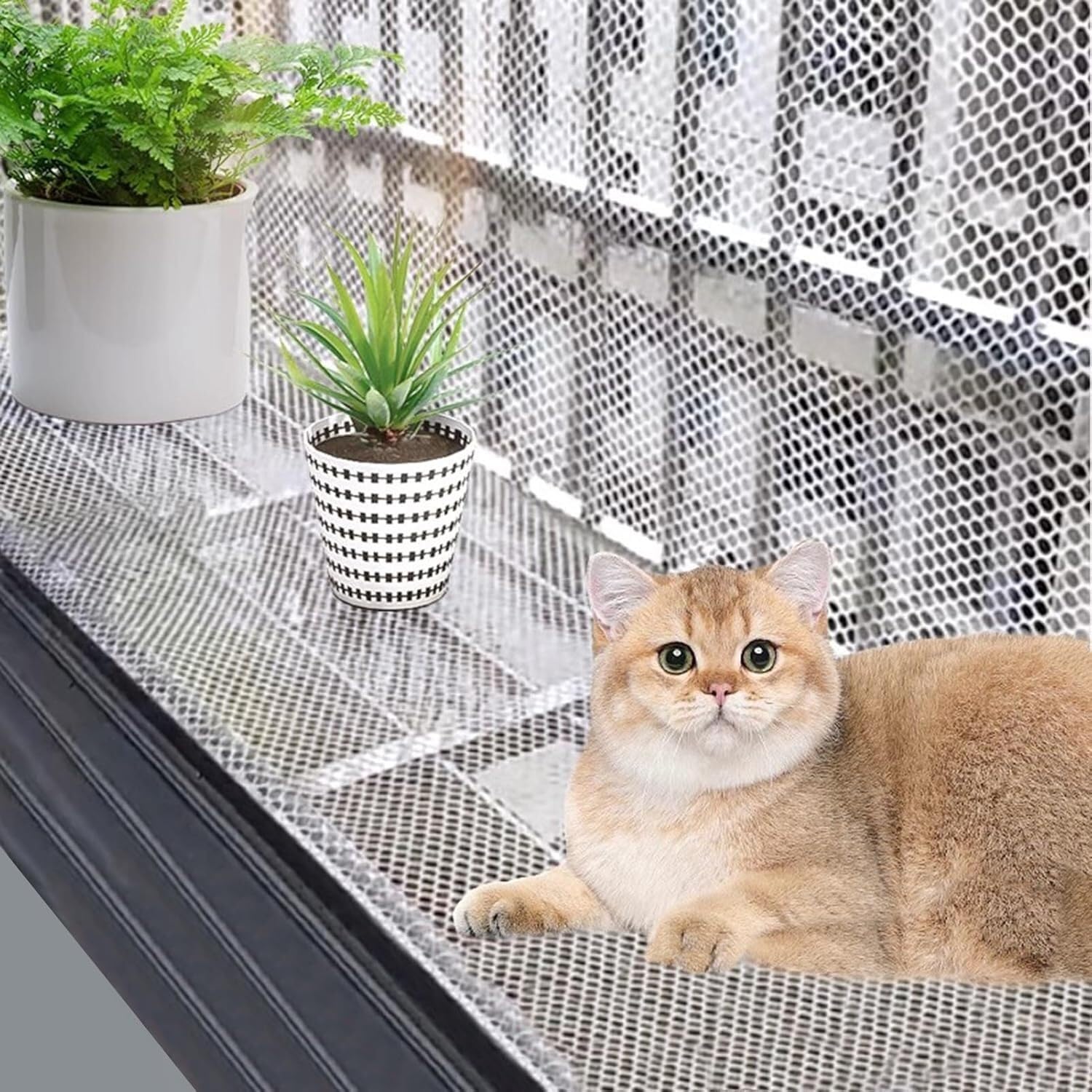 Rete di sicurezza for finestre for gatti da interno (protezione for gatti) Rete for pollaio in plastica bianca Rotolo di rete for pollame Schermo for la privacy con cerniera(0.5x5m/1.64x16.4ft)
