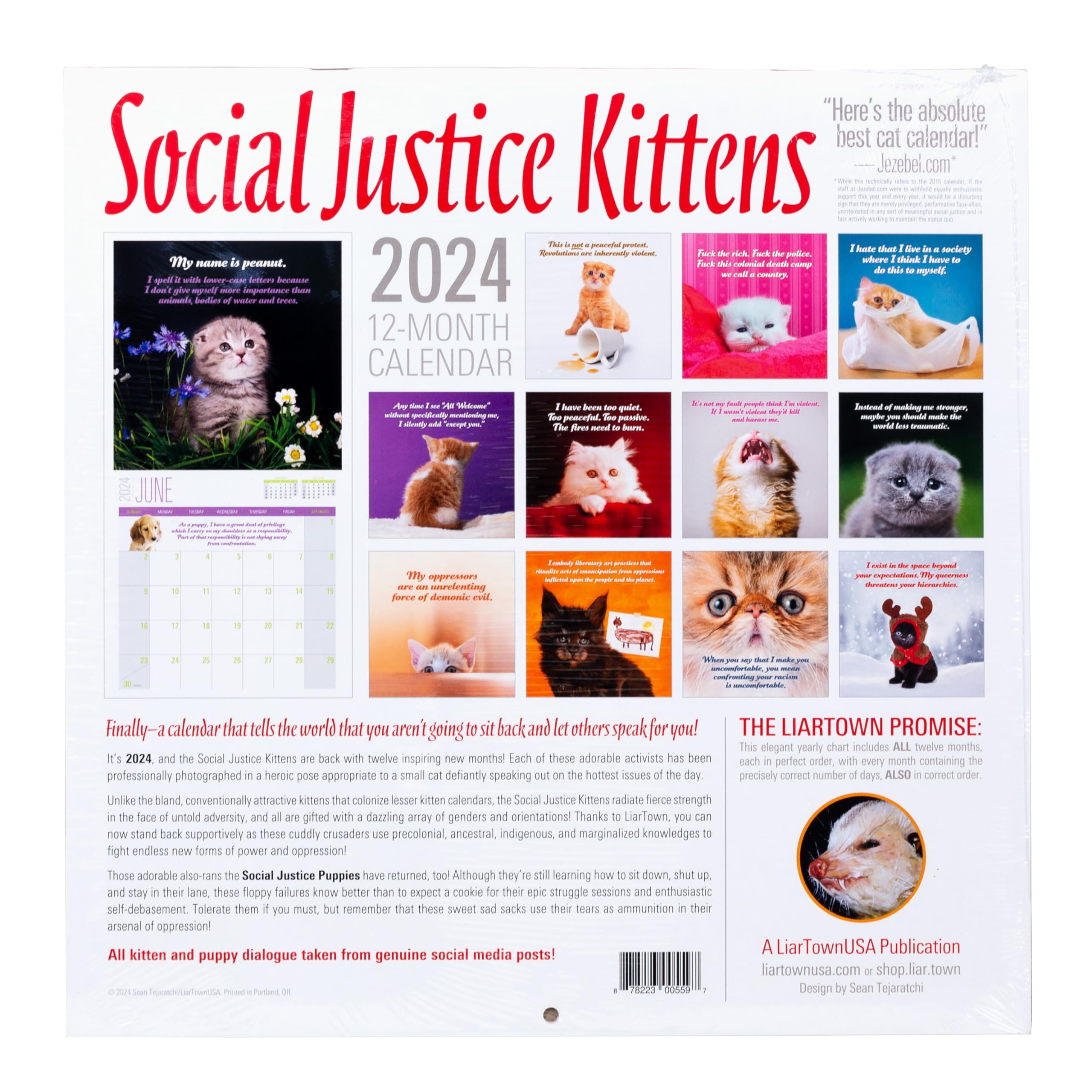 social-justice-kittens-2024-calendar-office-products-amazon-com