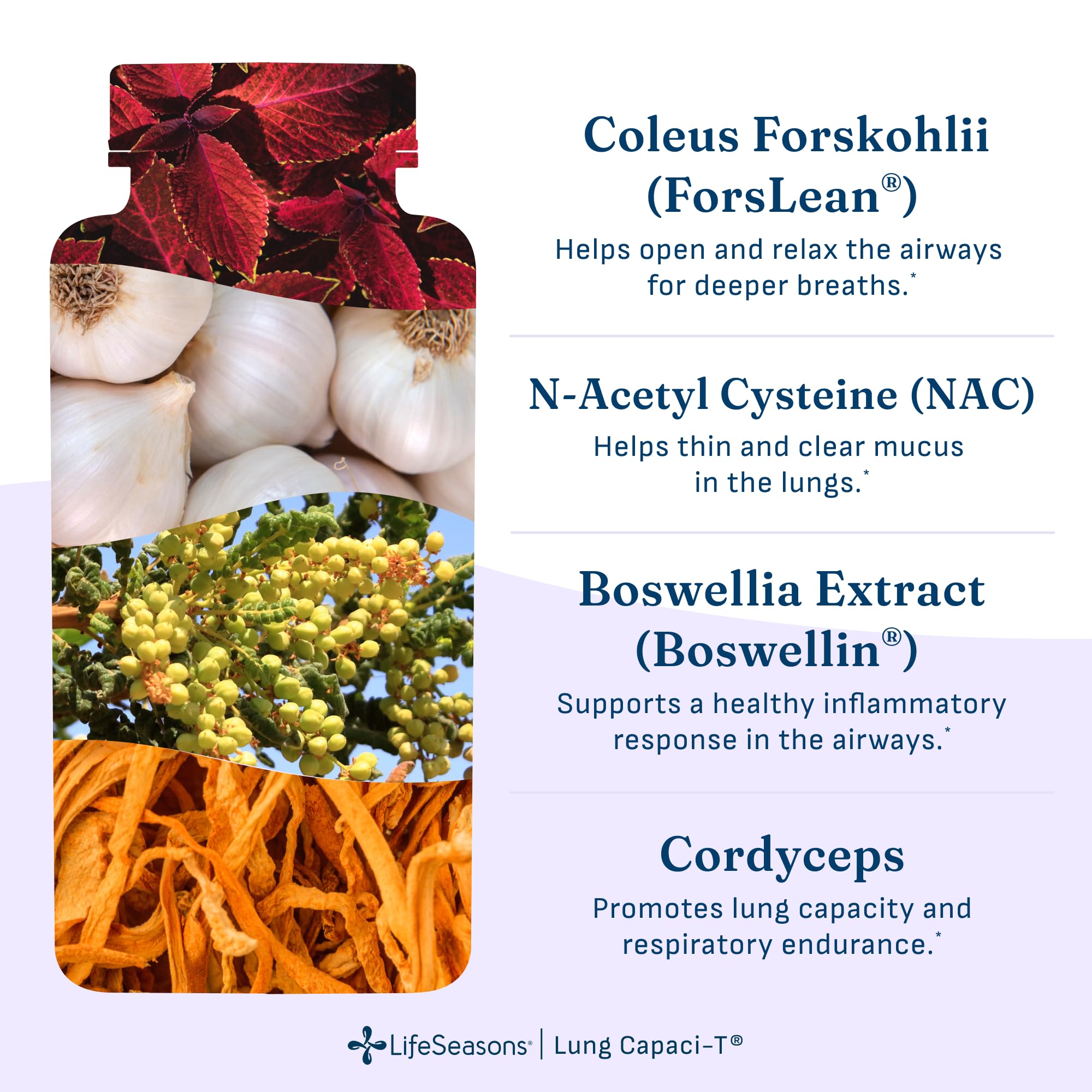 Lung Capaci-T - Respiratory Support Supplement - CoQ10, N-Acetyl Cysteine, Boswellia, Eucalyptus, Mullein, Green Tea, Nettle & Peppermint - Increases Oxygen Capacity & Reduces Mucus - 90 Capsules — Amazon image 5