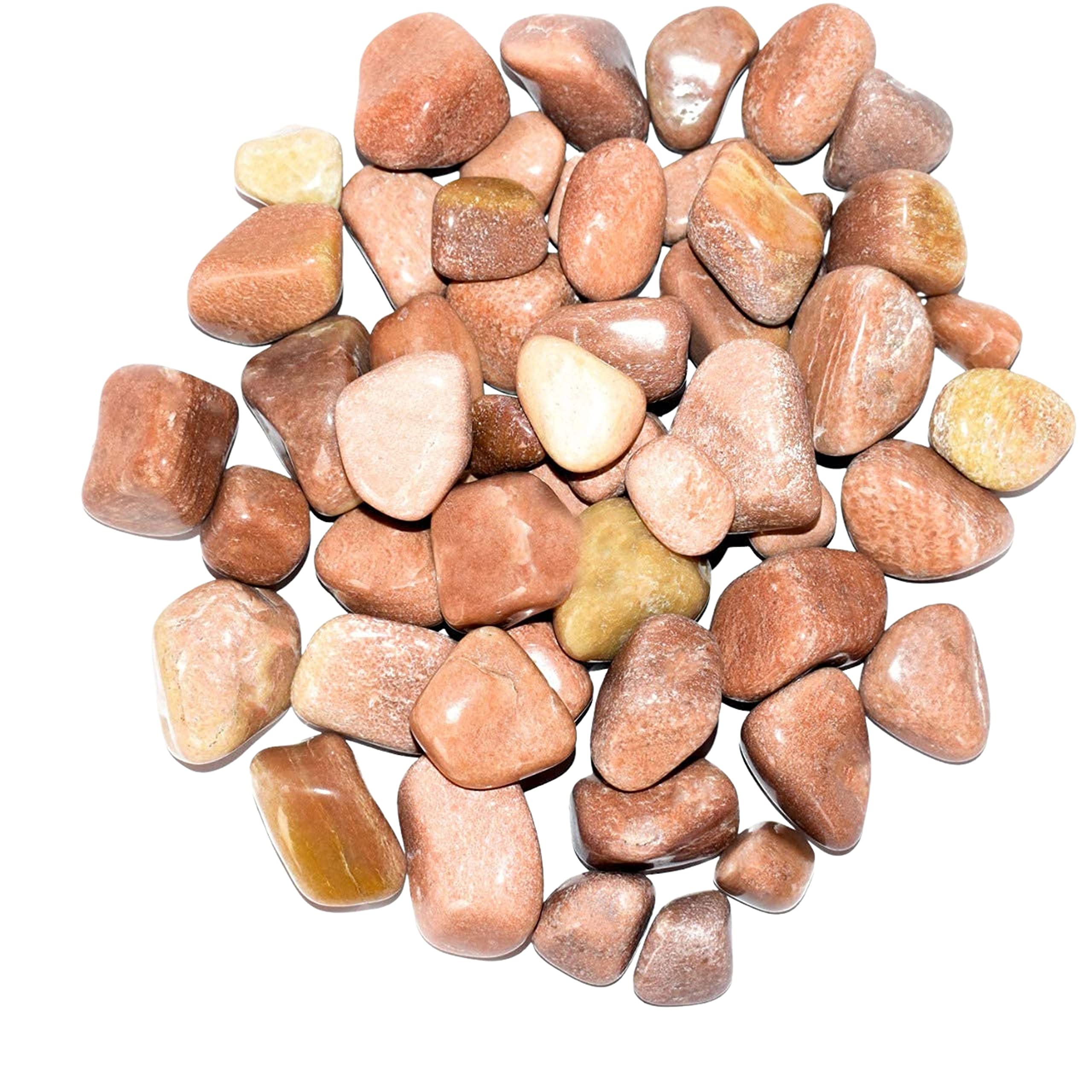 Foodie Puppies Natural Finish Pebbles (Creamy Caramel, 900gm) (1.5cm - 4cm) Attractive Quality Decorative Substrate Stone for Multi-Purpose Uses - Aquarium/Fish Tank, Garden, Lawn (B08G4TR44T) Amazon Price History, Amazon Price Tracker