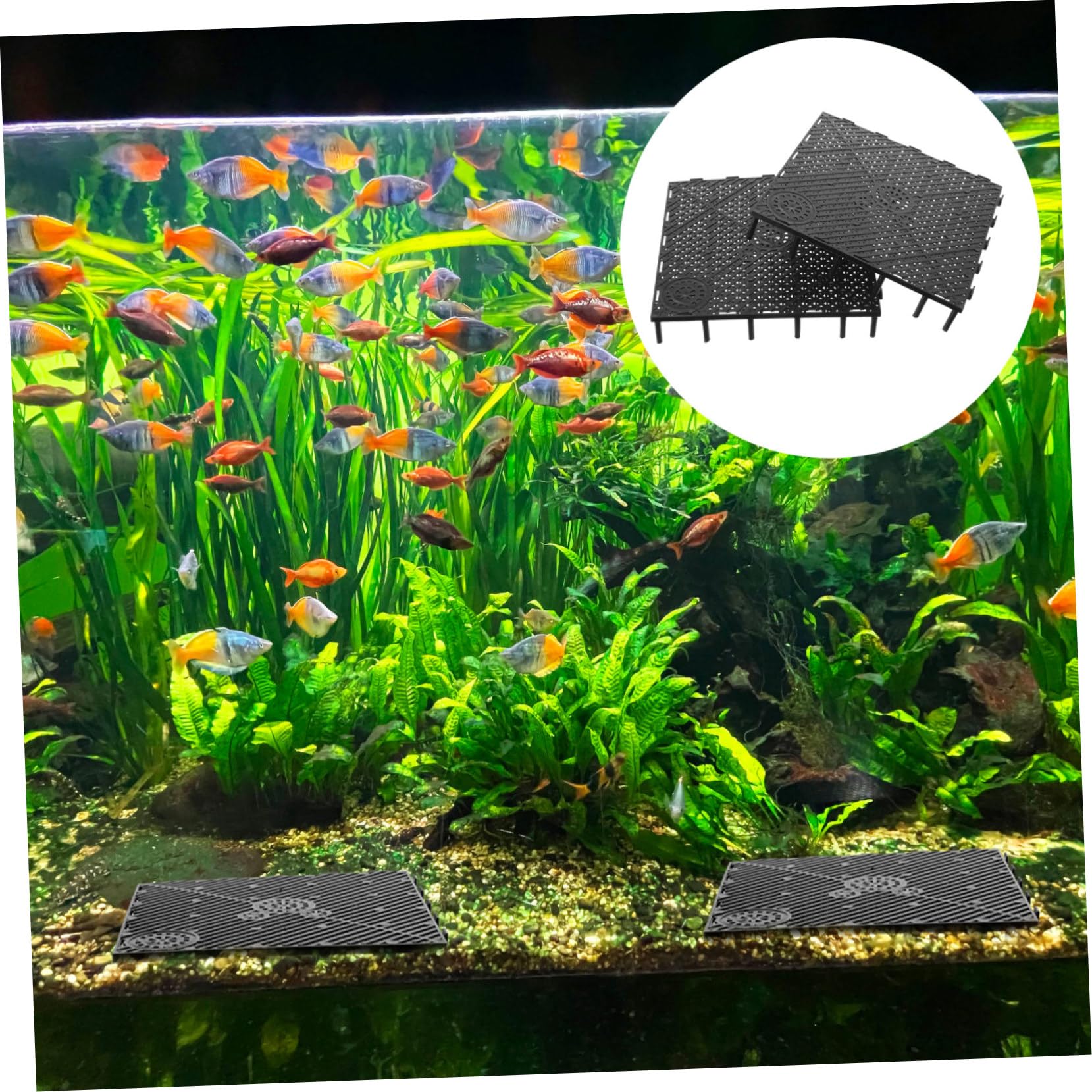 40 STK Filterplatte Für Aquarien Sieb Schwarze Aquarien-trennschalen Kiesschale Für Aquarien Schwarzer Kies Für Aquarien Aquarienfilter Zubehör Unteres Filteraquarium Gießen Black