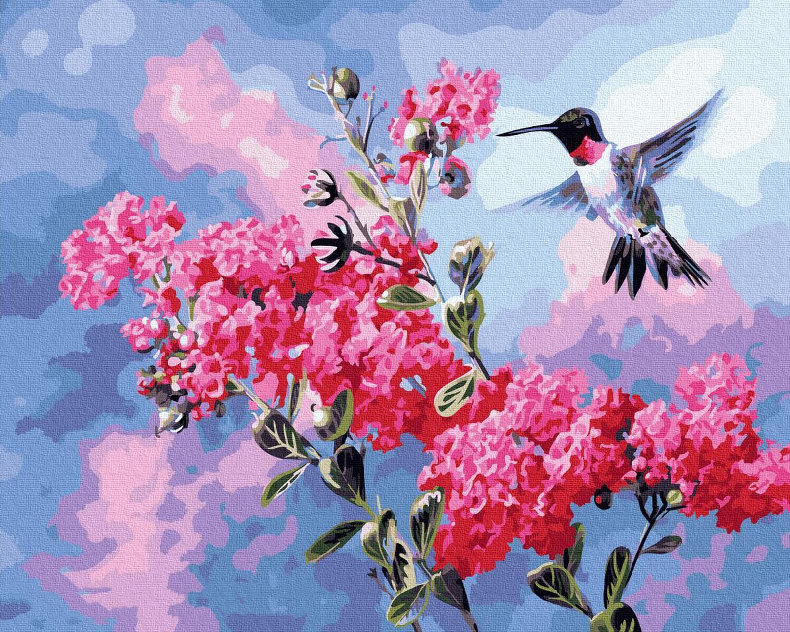 Grebesty Dipingere con i numeri, per studenti adulti, kit di pittura artistica da parete con pennelli da pittura, colibrì, 40 x 50 cm, senza cornice