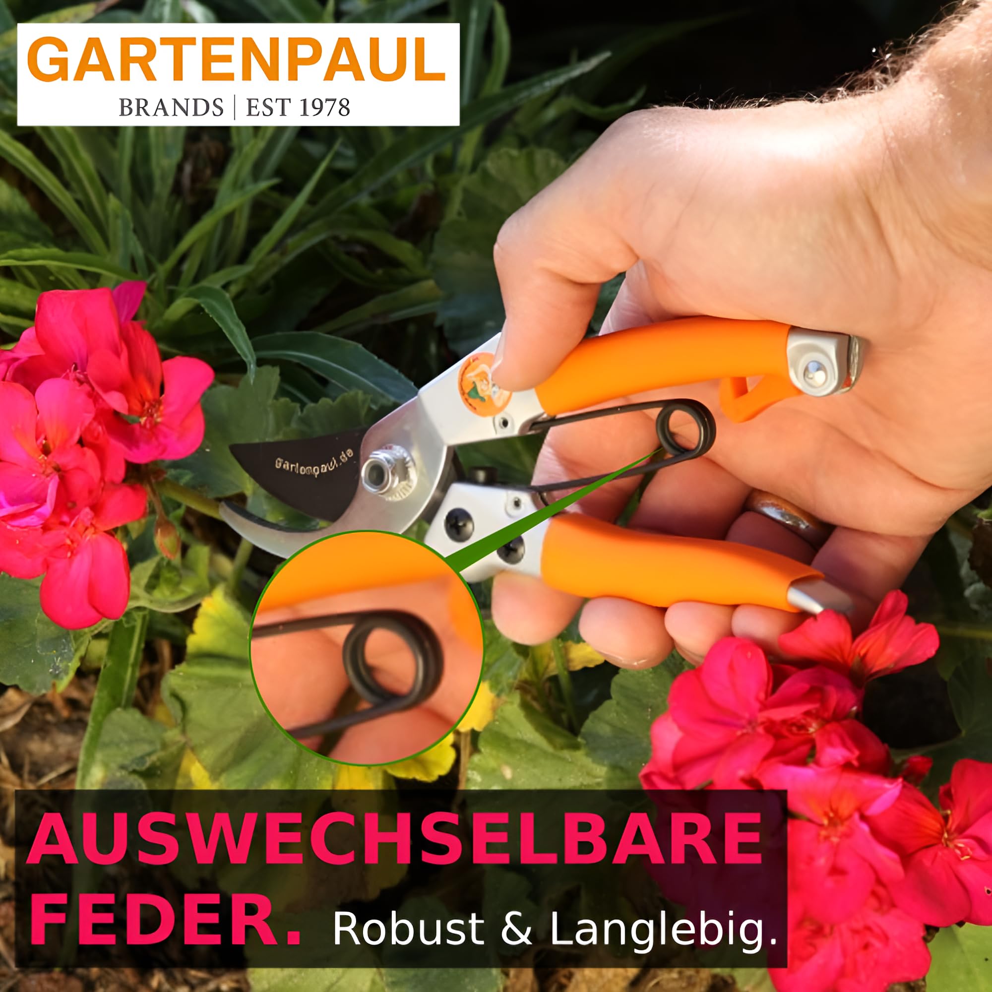 Gartenscheren Set, Premium + Damenschere, Profi-Gartenwerkzeuge Ratschen Ratsche Gartennschere klein & groß, 30 Jahre Qualität, passt zu Astschere Heckenschere Rosenschere Ernteschere