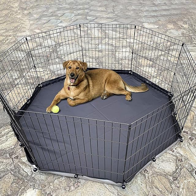 Foto 3 de 8 de Teksome Funda para juegos para perros
