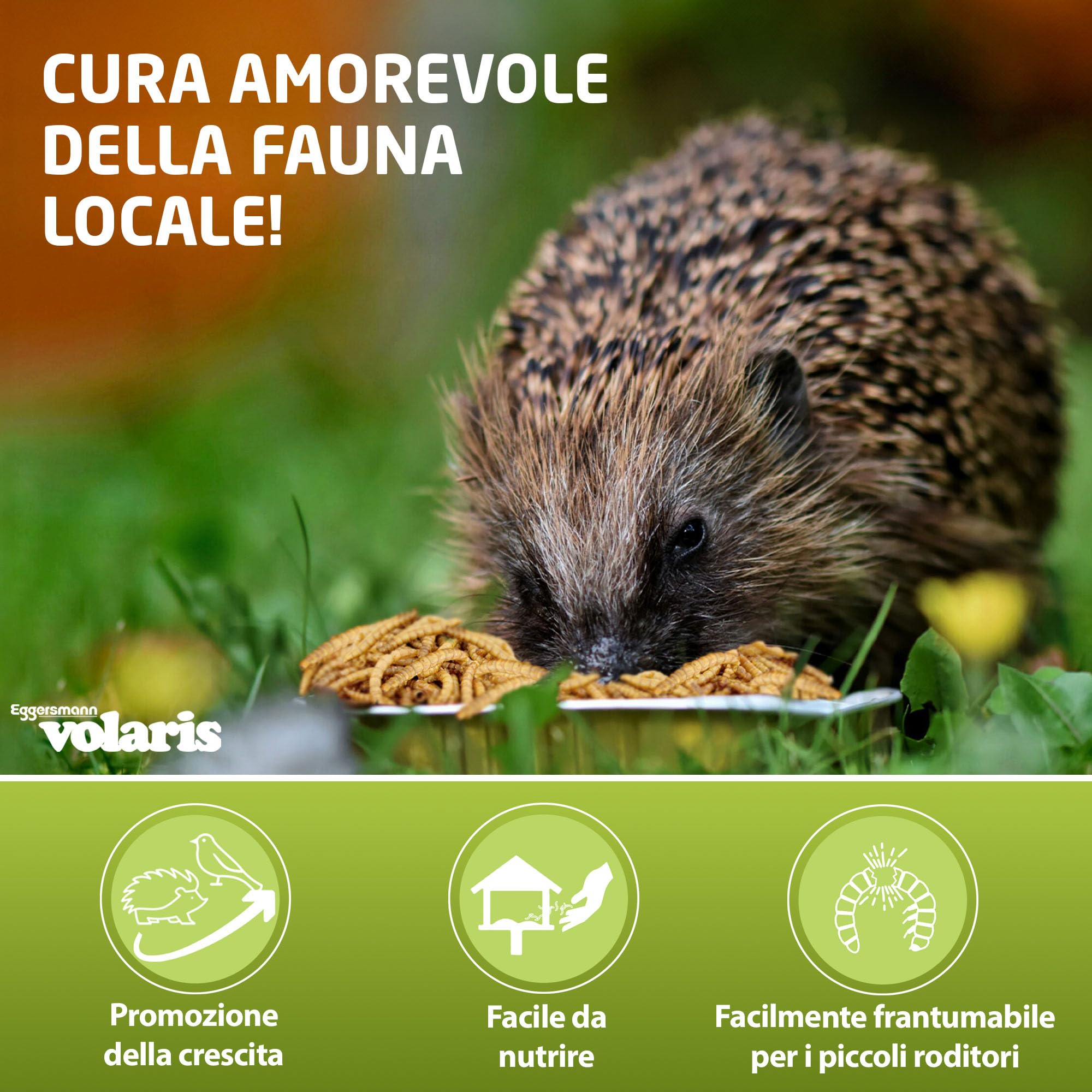 Eggersmann volaris Vermi della farina essiccati 10kg – Mangime per uccelli selvatici ricco di proteine e naturale – Vermi della farina essiccati ideali per uccelli selvatici, polli e altri animali