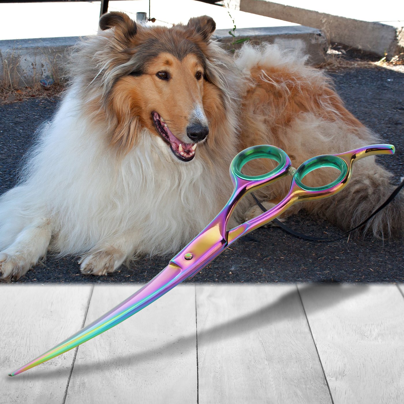 Sharf Rainbow 8.5 Inch Curved Dog Grooming Scissors - Trusted Brand - Premium Steel Professional Dog Grooming Scissors - Ergonomic Design product thumbnail 6