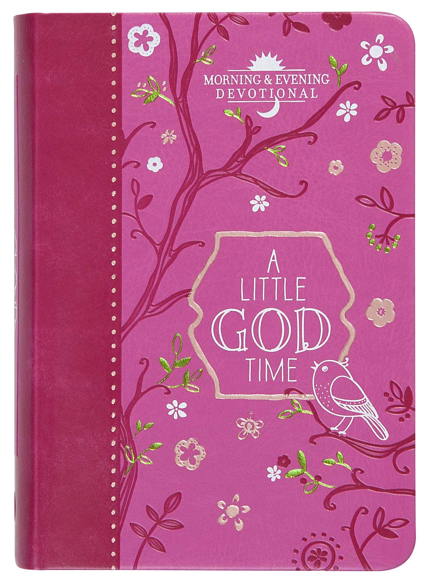 A Little God Time: Morning & Evening Devotional (365 Daily Devotions)