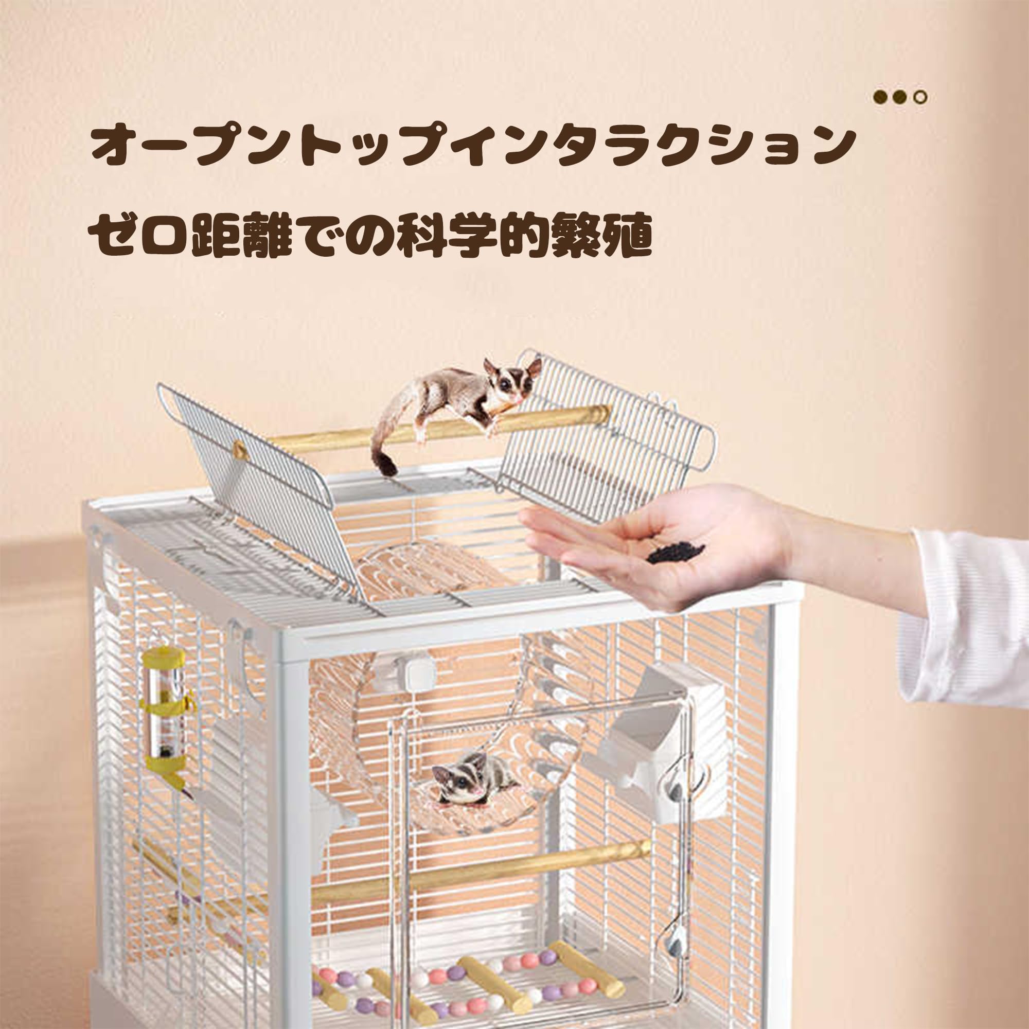 モモンガ　ゲージ　小動物　フクロウモモンガ Amazon | Rosoy モモンガ ケージ フクロモモンガのケージ フロント