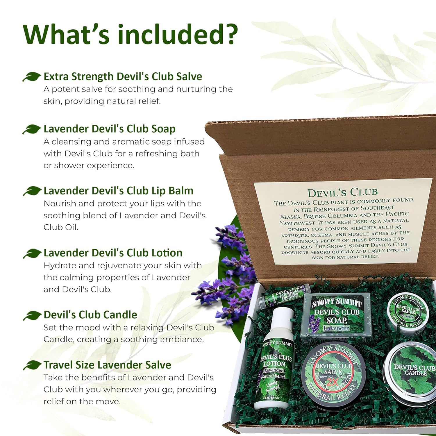 Snowy Summit Devil's Club Skin Care Box Set - Alaskan Wilderness Infused Body Lotion, Salve, Lip Balm, Soap & Candle - Handcrafted Natural Ingredients for Daily Skin Rituals