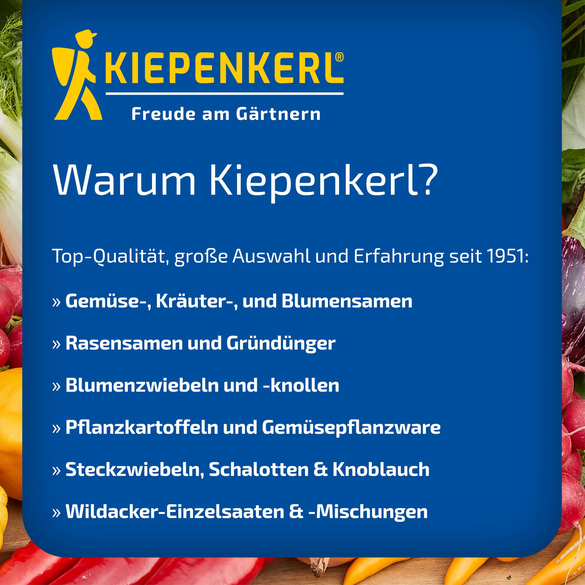 Kiepenkerl Rasen Nachsaat-Booster Grassamen | 1,8kg für 70m², Schnellkeimend, Strapazierfähig, Spiel- & Sportrasen, Dichter Traumrasen in wenigen Tagen