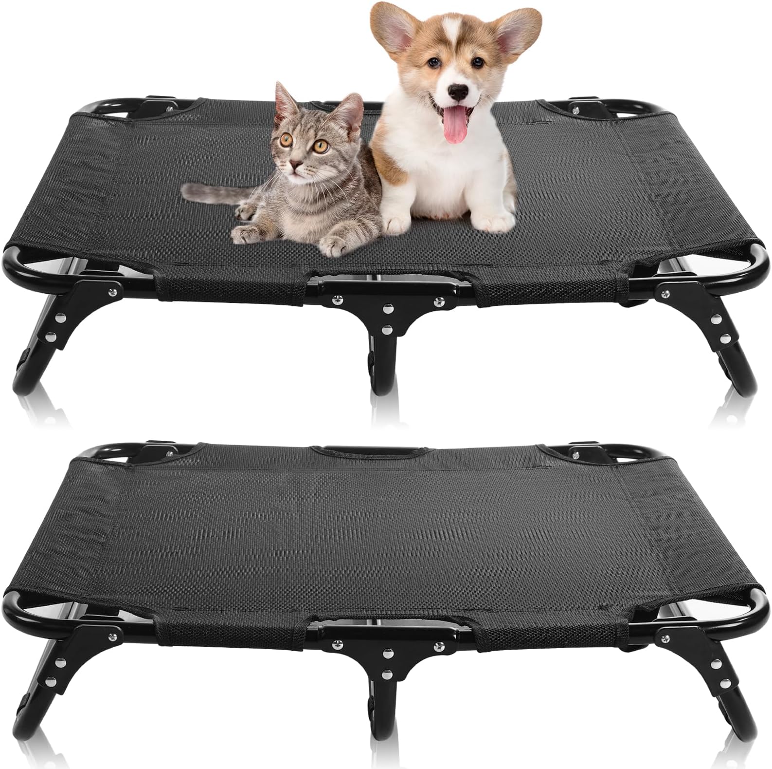 Coleman Folding Cot for Pet Up to 50 Lbs, 30 x 20 x 7