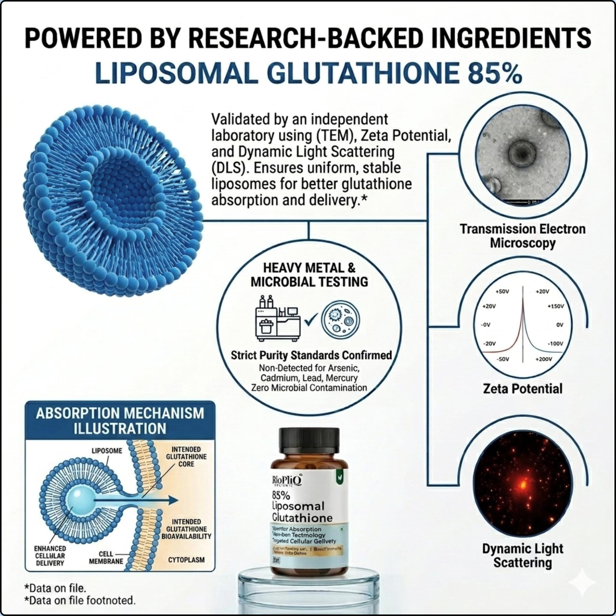nrf2 glutathione peroxidase schizophrenia Frontiers