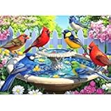 Birds at Birdbath 1000 Piece Jigsaw Puzzle for Adults Birds Bath Fountain Garden Scene Challenging Family Puzzle Perfect for Game Nights (27.5
