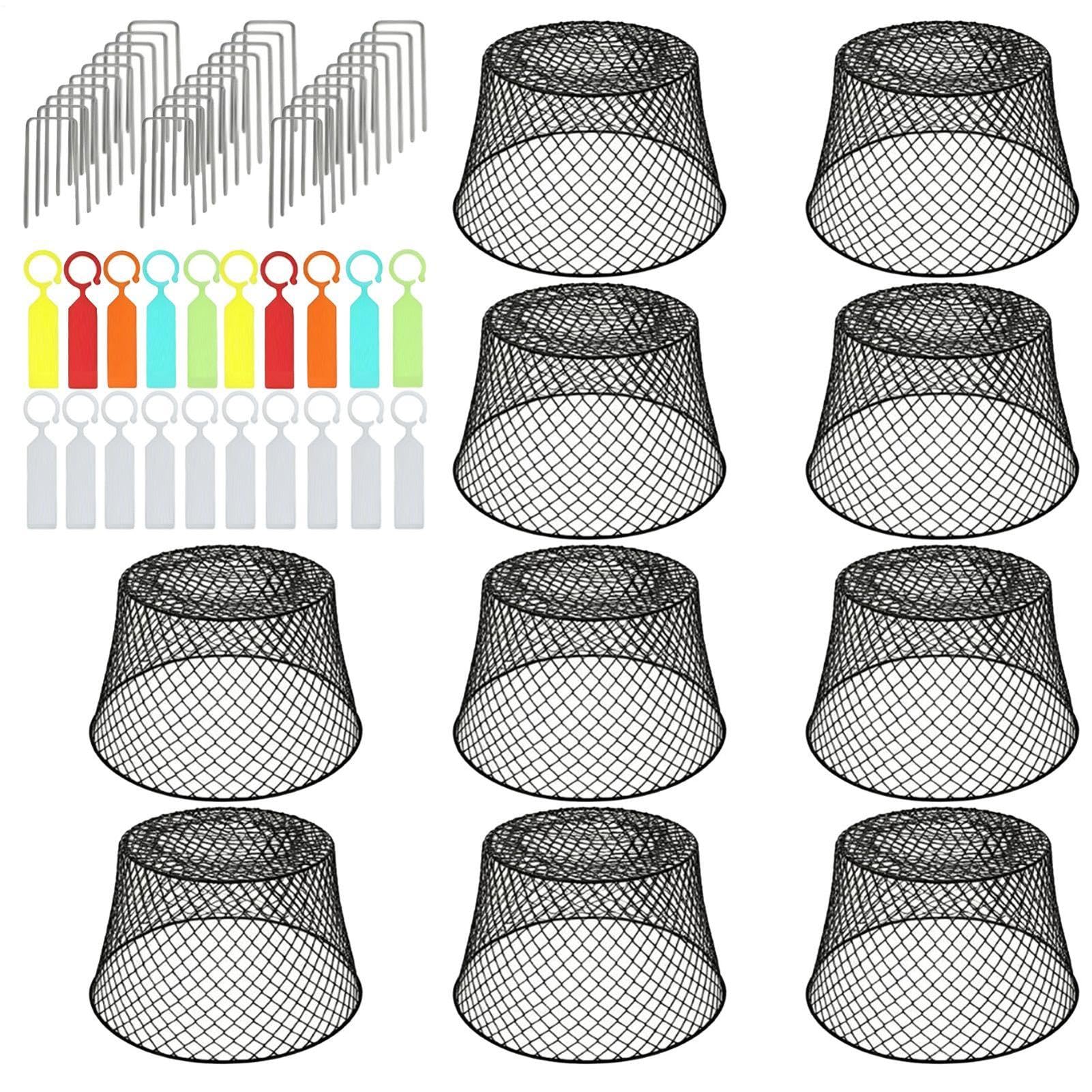 Cloche de Protection pour Lot de 10 Filets de Protection