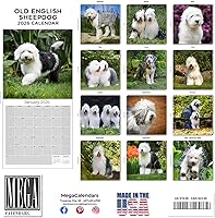 Vista 592 de Razas de Perros 2017