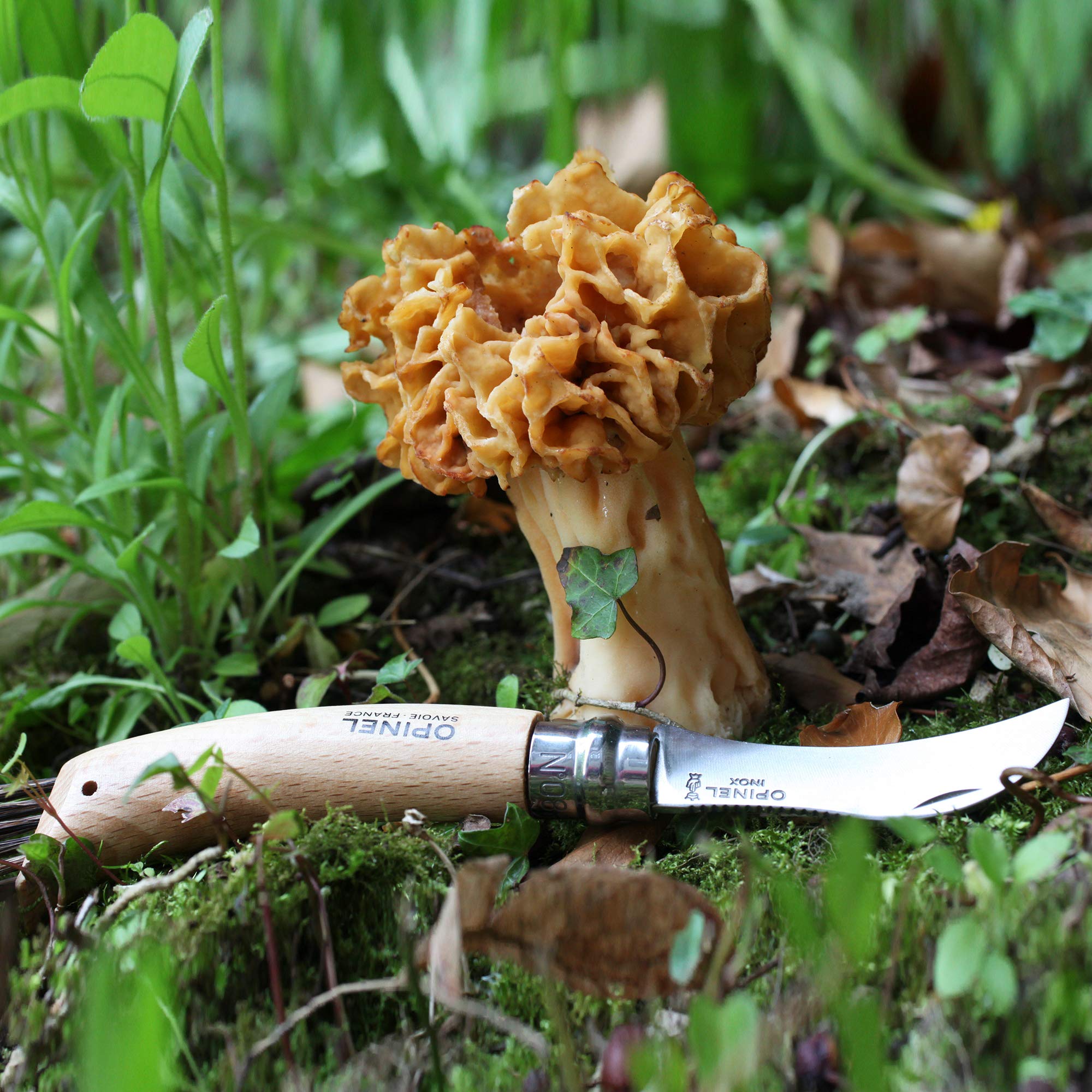 Amazon.co.jp: Opinel マッシュルームナイフ No.8 : スポーツ＆アウトドア