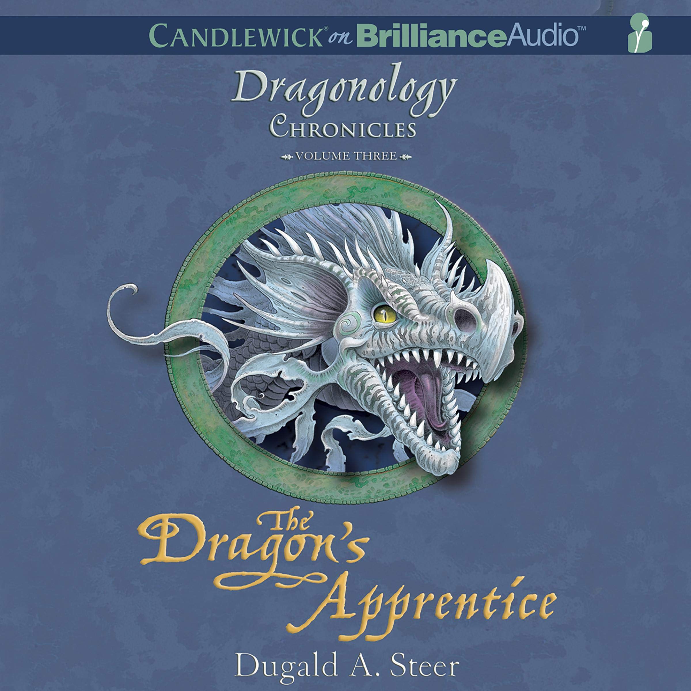 Cover art for The Dragon's Apprentice