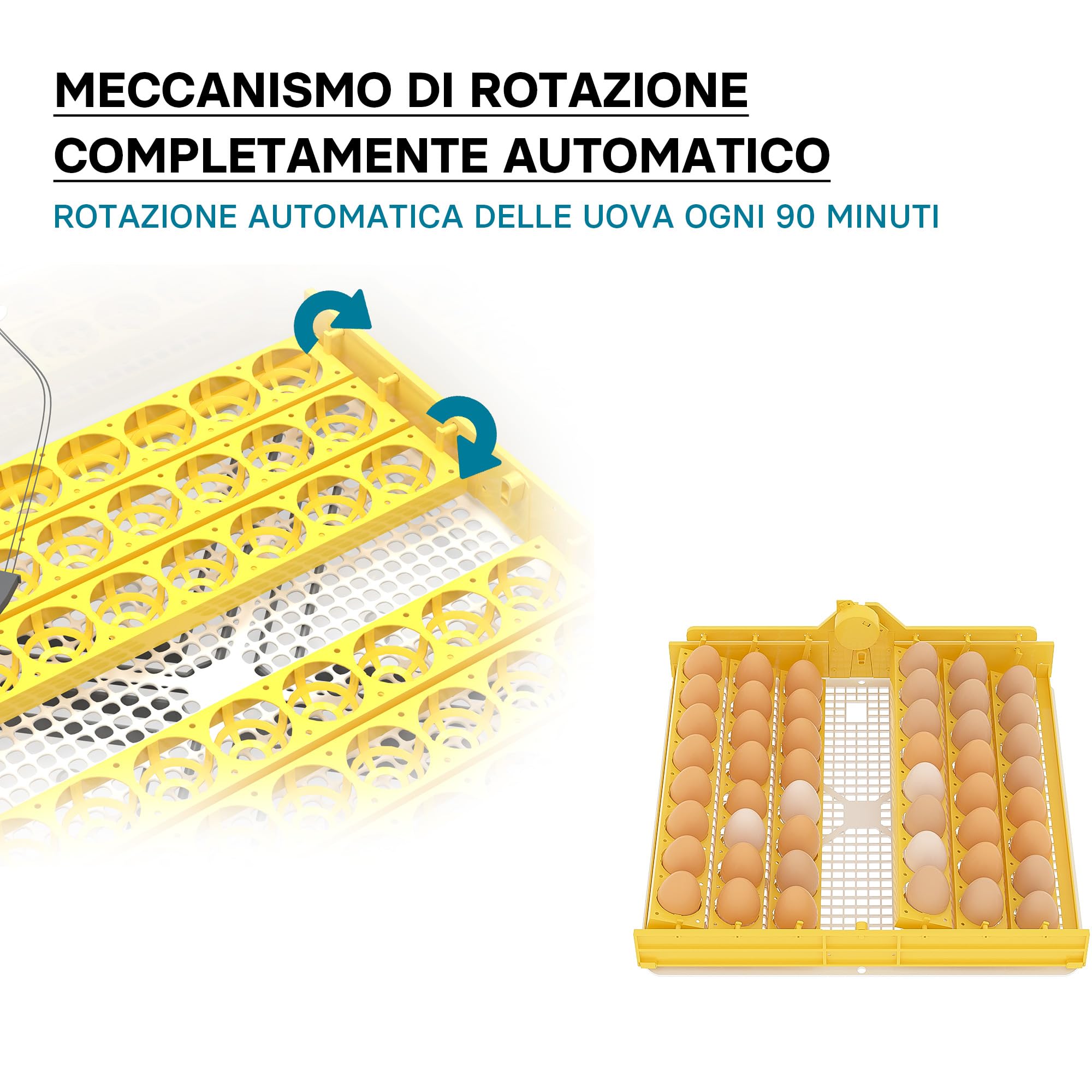 Wiltec Incubatrice automatica per 48 uova, con regolazione temperatura e umidità, Covatrice