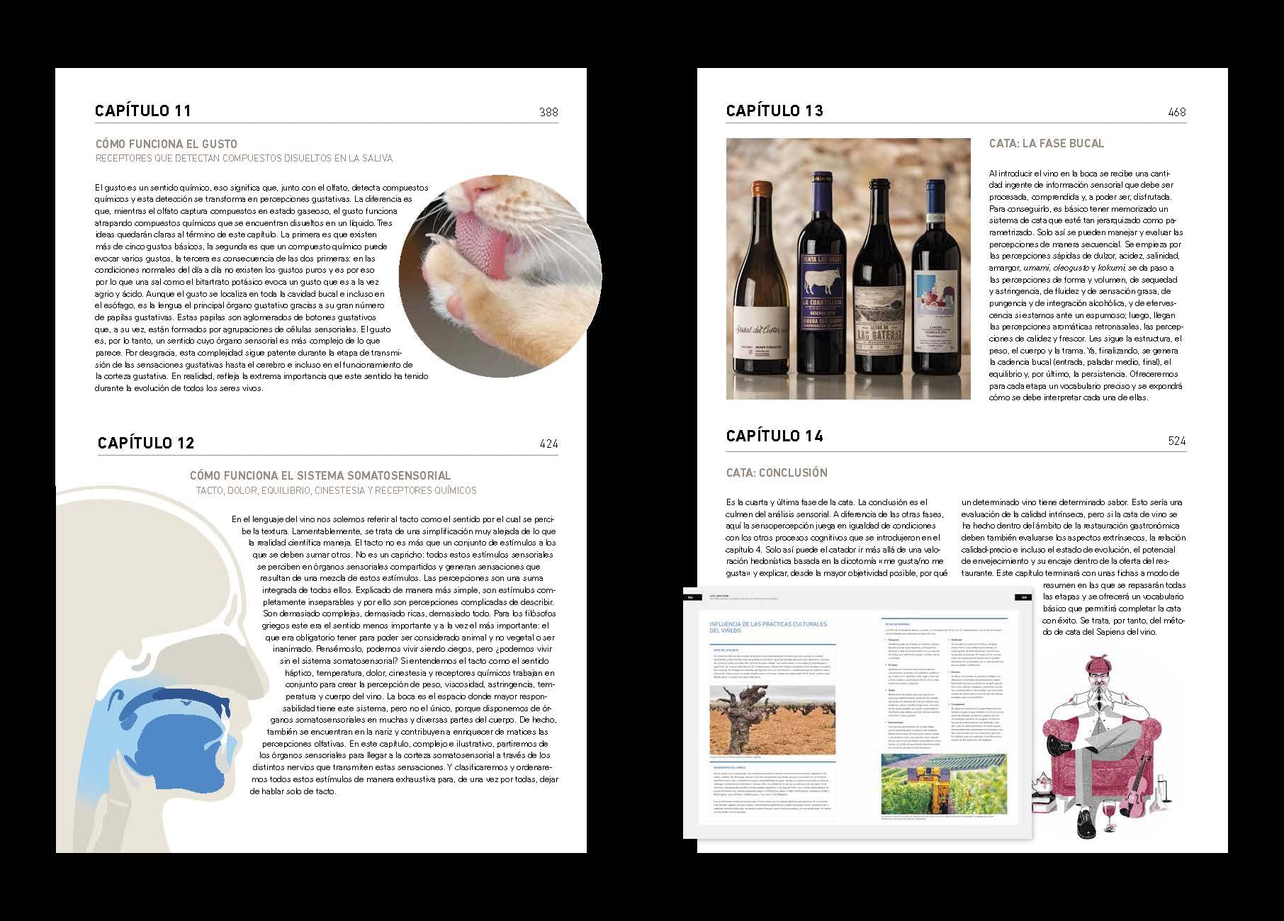 Vinos Volumen VI - El análisis sensorial del vino: 006 (Bullipedia)