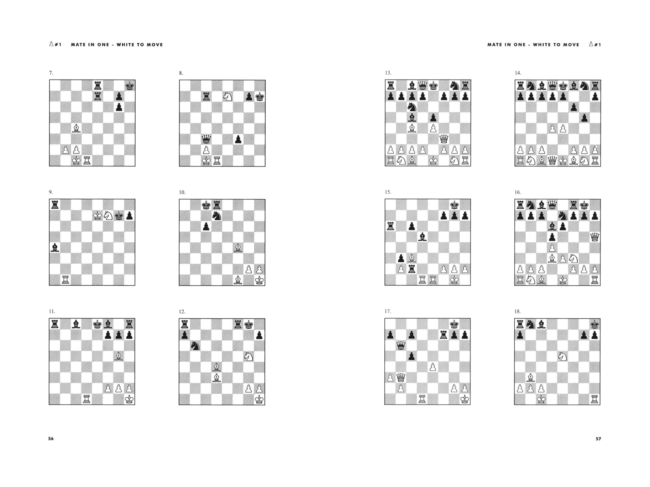 Chess: 5334 Problems, Combinations and Games