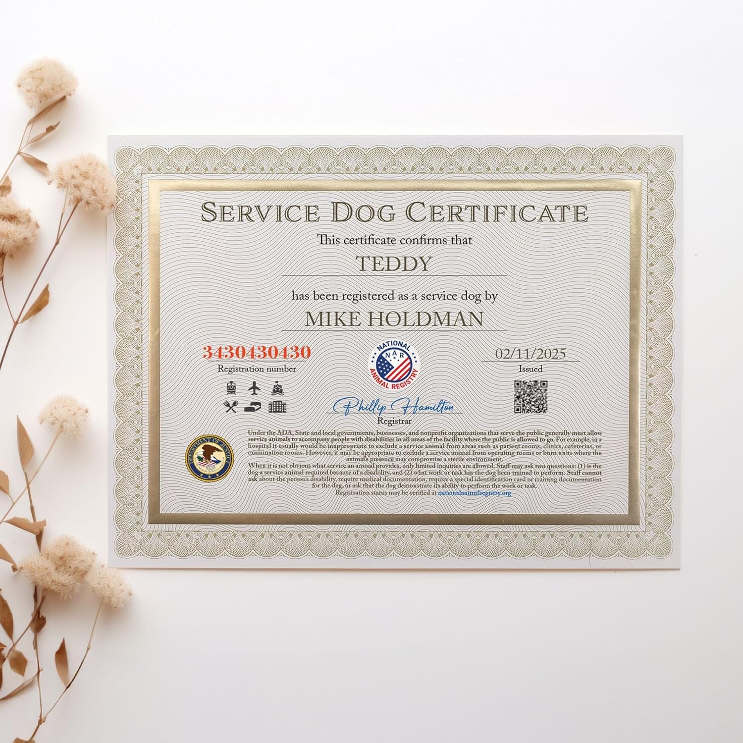 Service Dog Certificate with Gold Foil Accent– Printed on Certificate Paper + Free Digital Copy – for All Support & Assistance Dog Categories