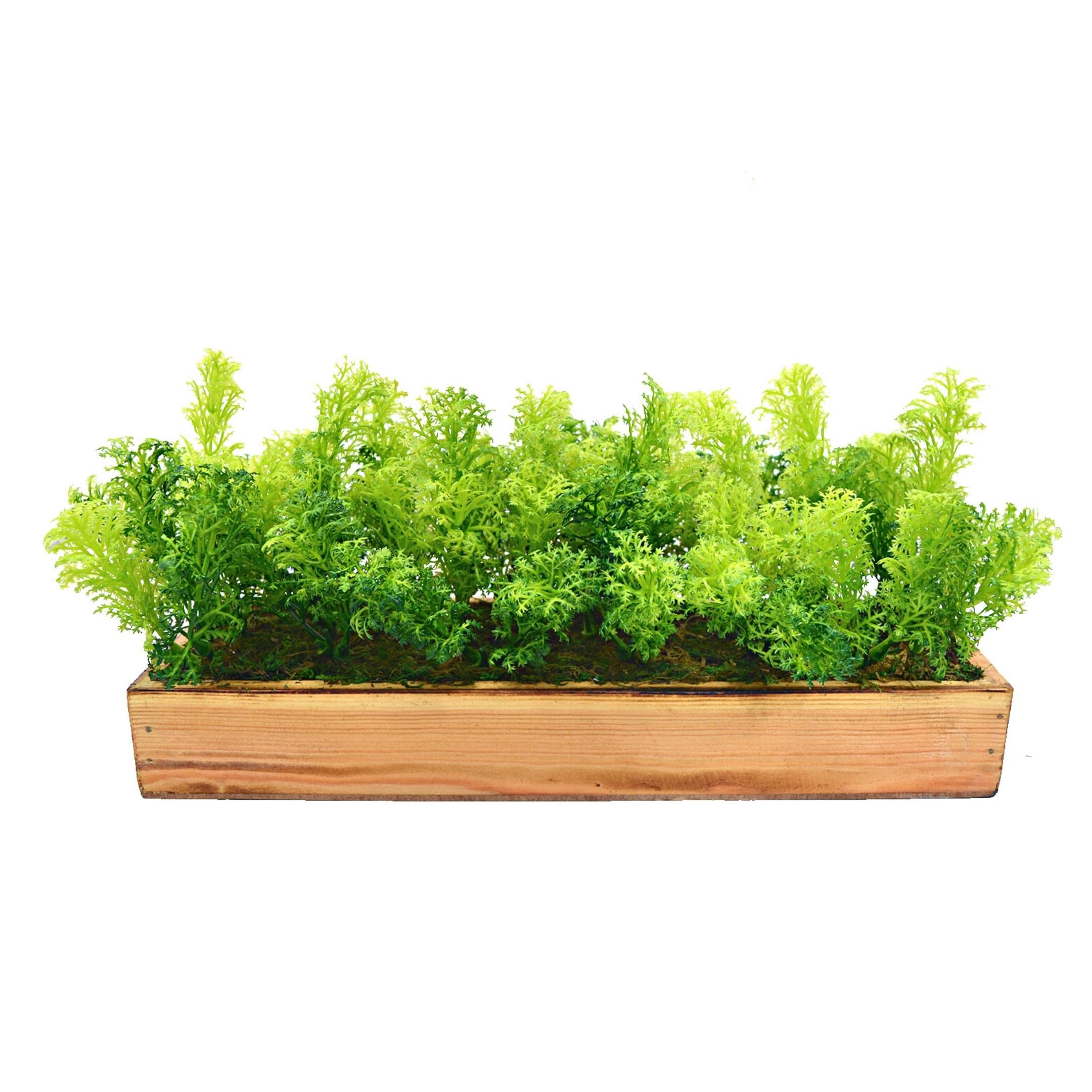 fancymart Artificial Corriender Plant Bunch in Wood Planter (B096QN453Y) Amazon Price History, Amazon Price Tracker