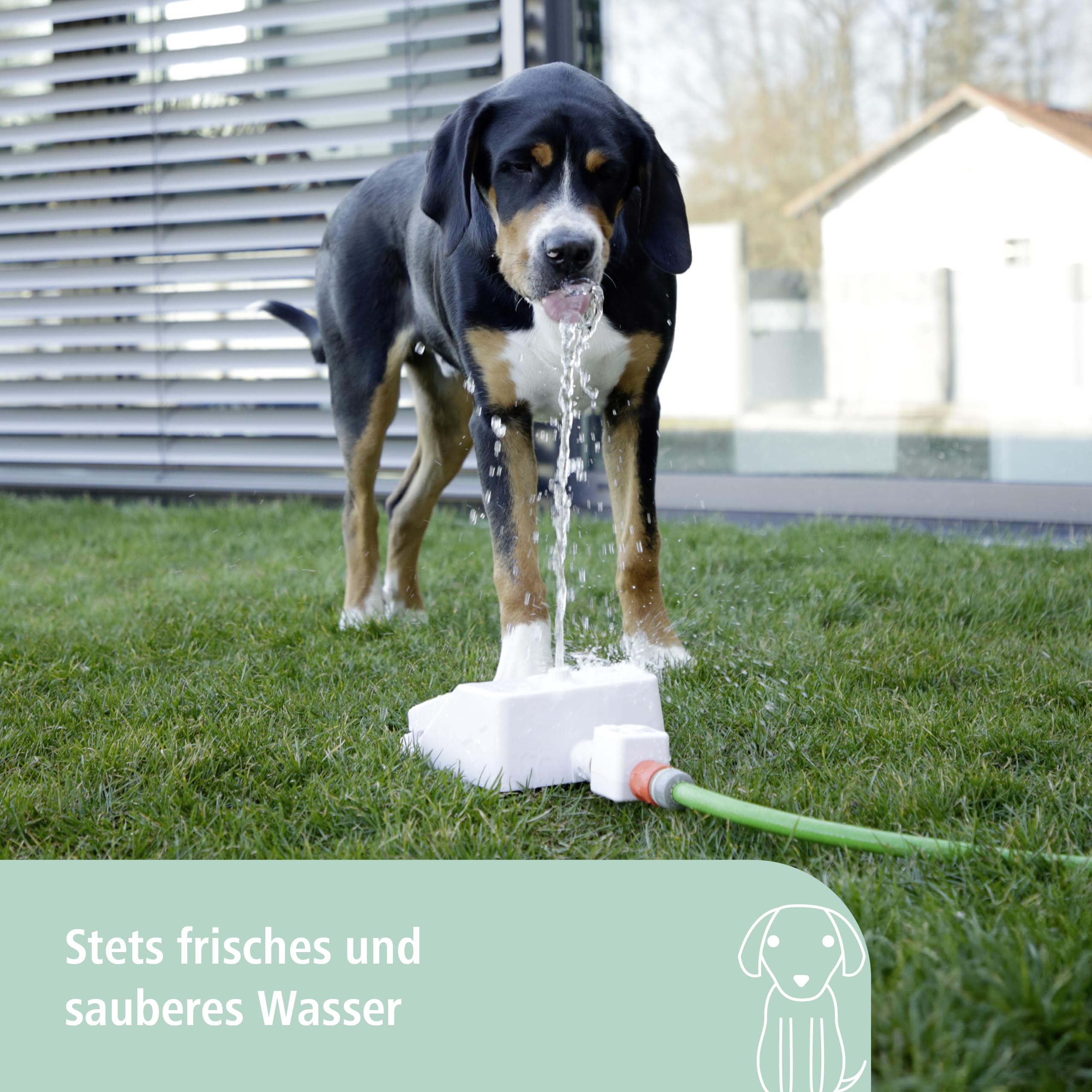 Kerbl Pet Wasserspringbrunnen Bubble, Trinkbrunnen, 25,5x18x8cm, weiß, blau, Kunststoff, Tierfütterung, Hunde, integrierter Wasserdruckregler